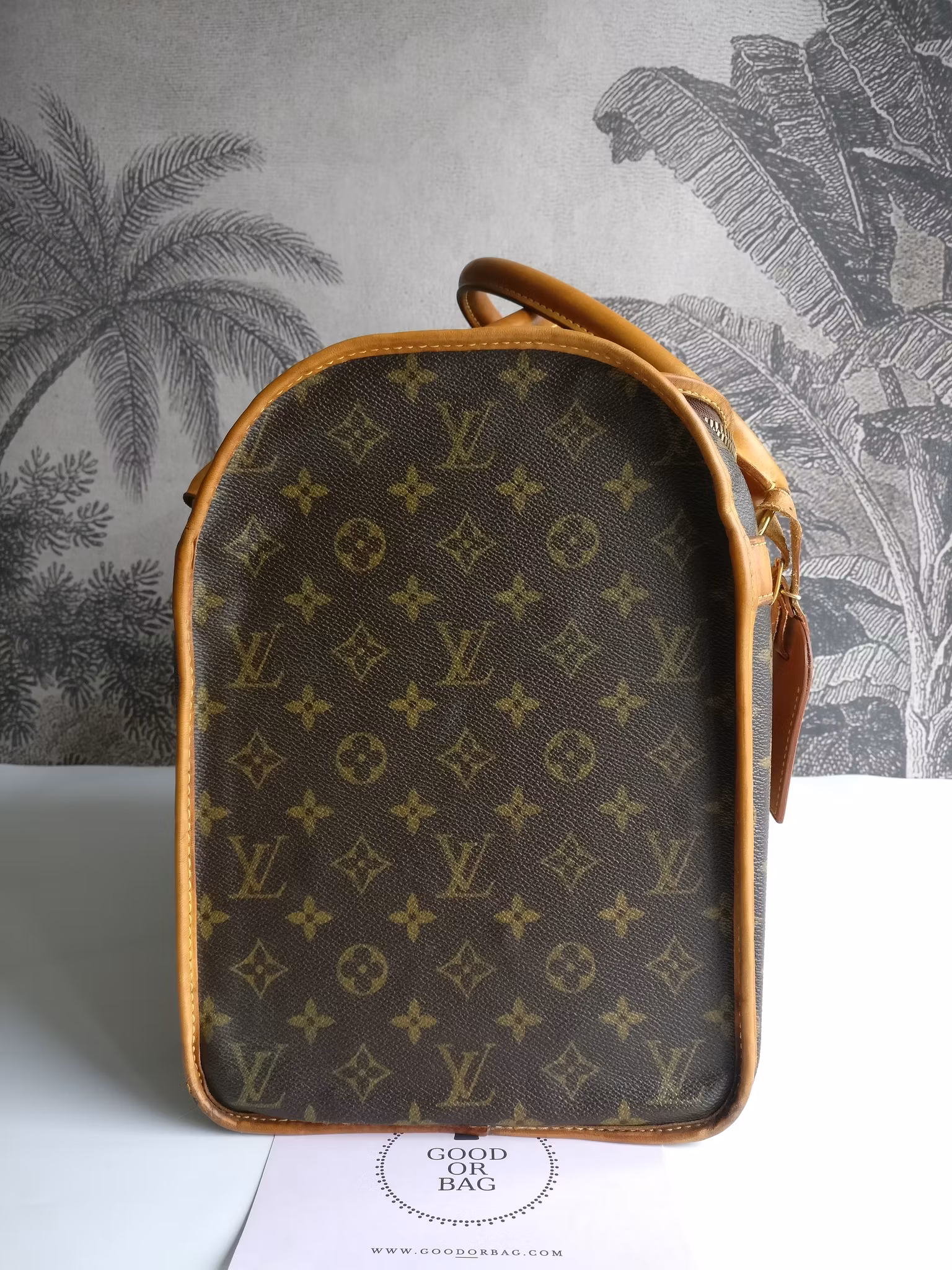Louis Vuitton Dog Carrier 40 Sac Chien