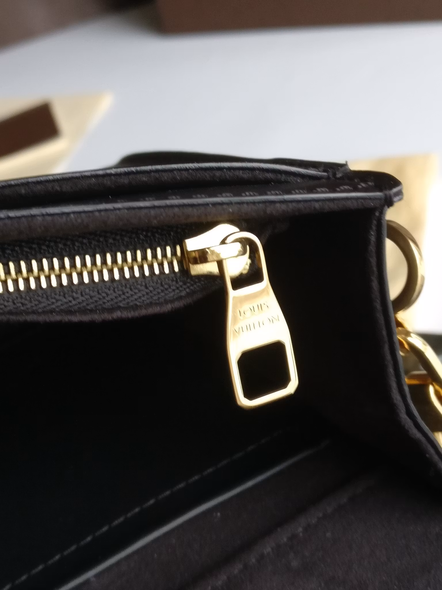 Louis Vuitton Pochette Louise GM Chain Bag Python Clasp