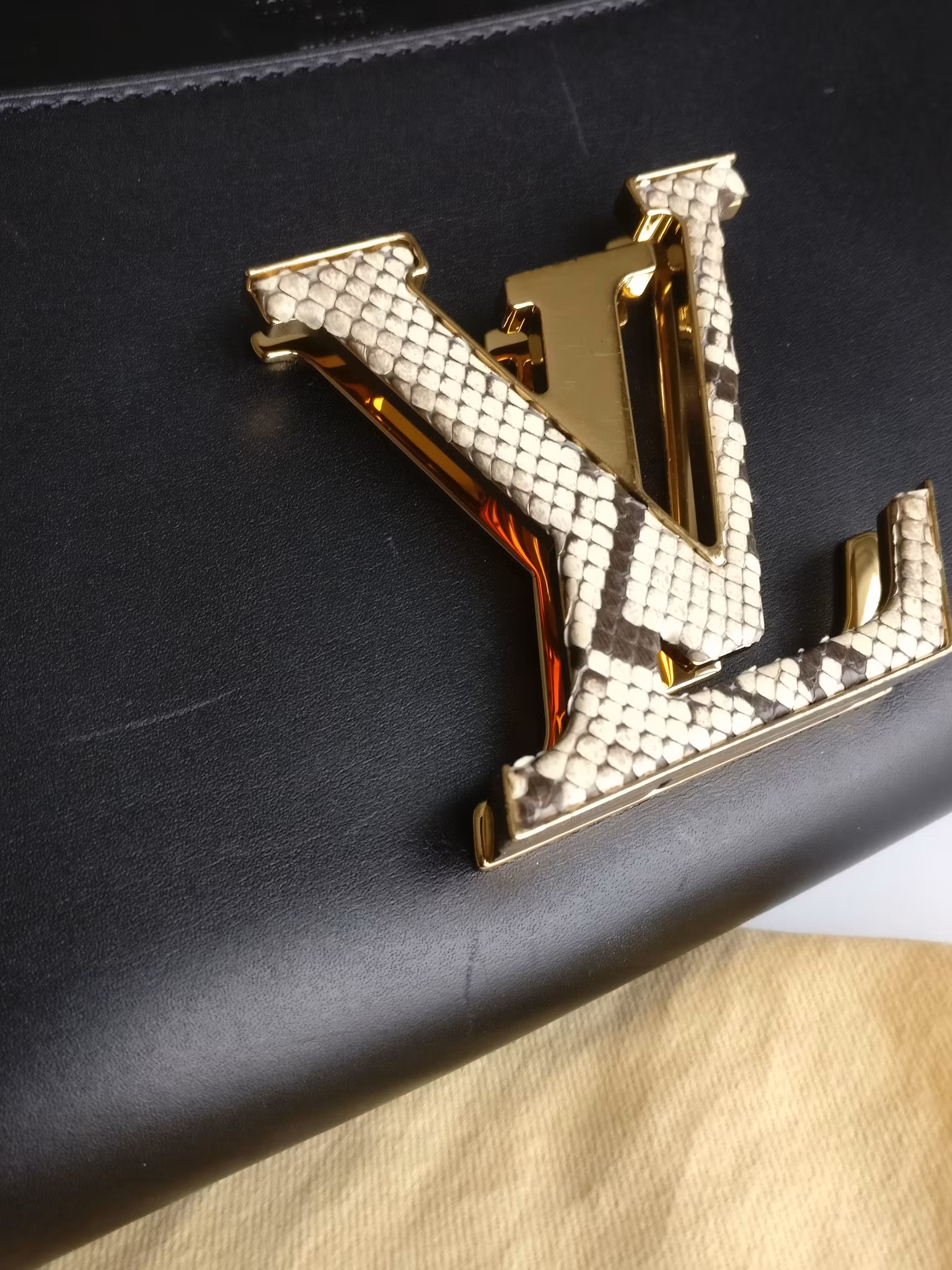 Louis Vuitton Pochette Louise GM Chain Bag Python Clasp