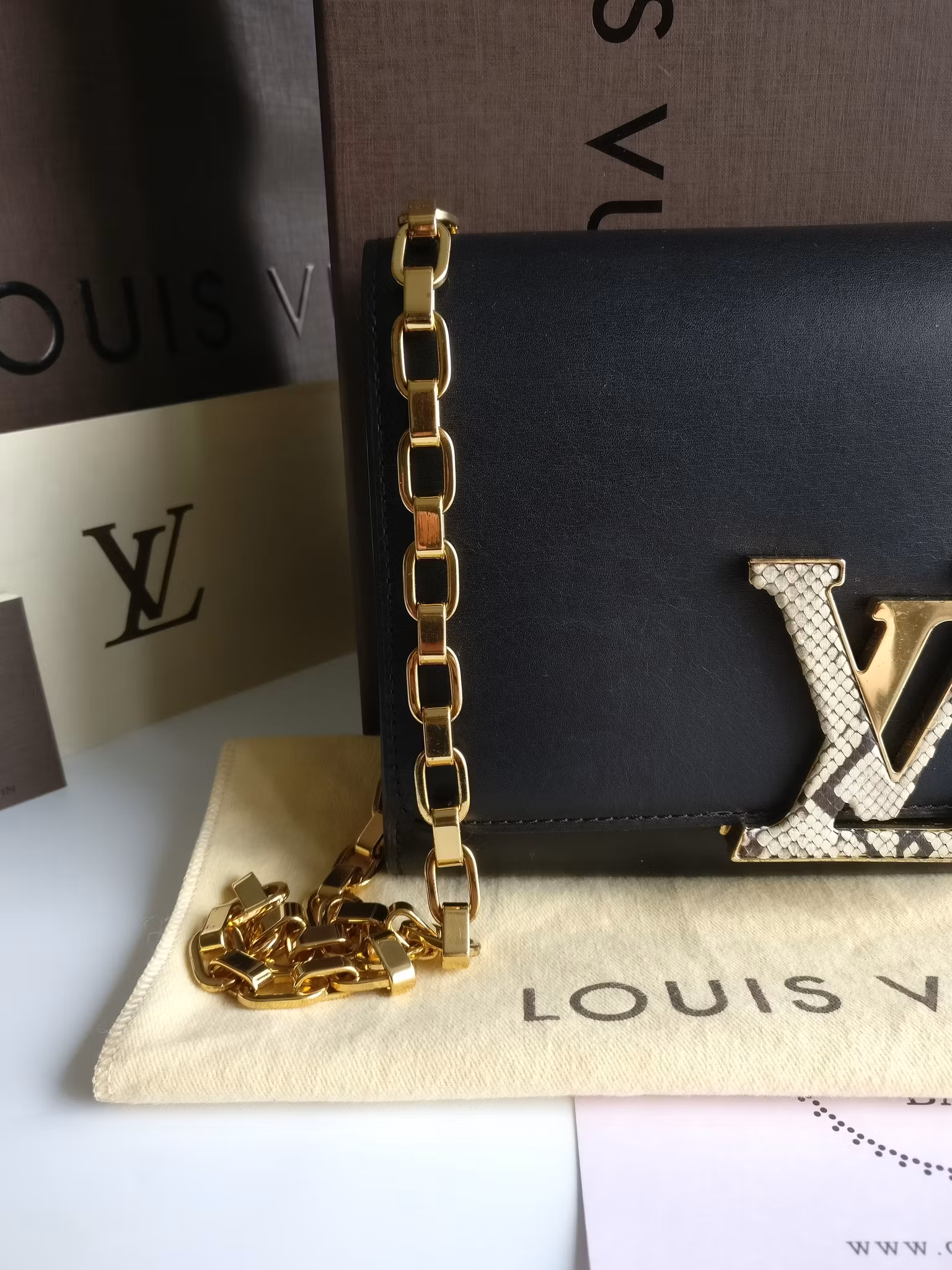 Louis Vuitton Pochette Louise GM Chain Bag Python Clasp