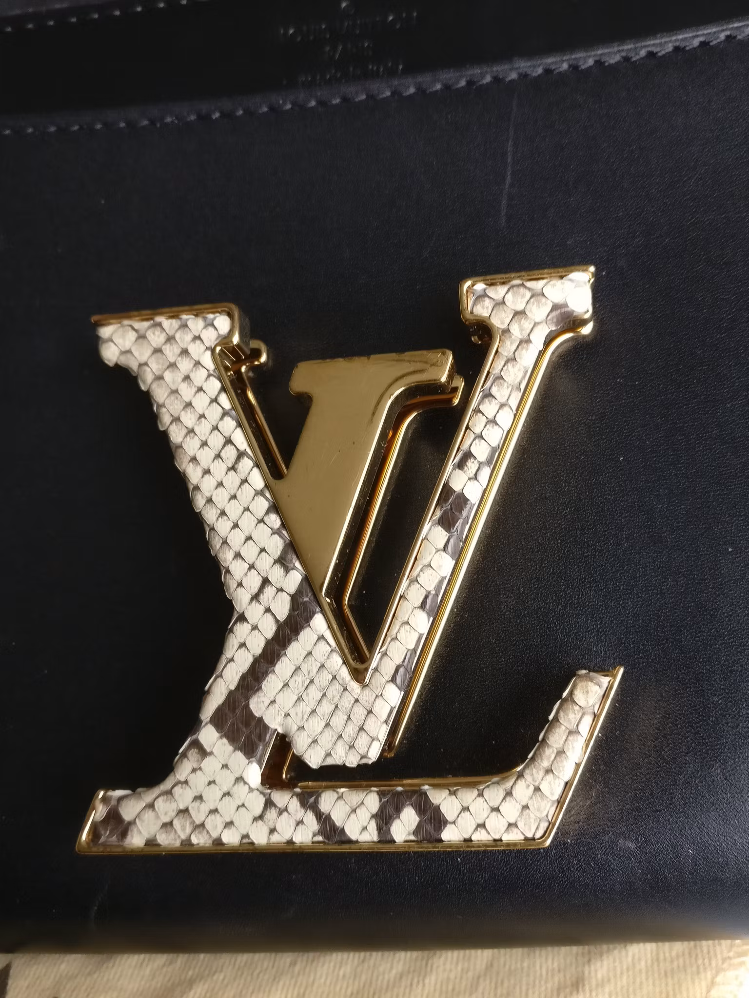 Louis Vuitton Pochette Louise GM Chain Bag Python Clasp