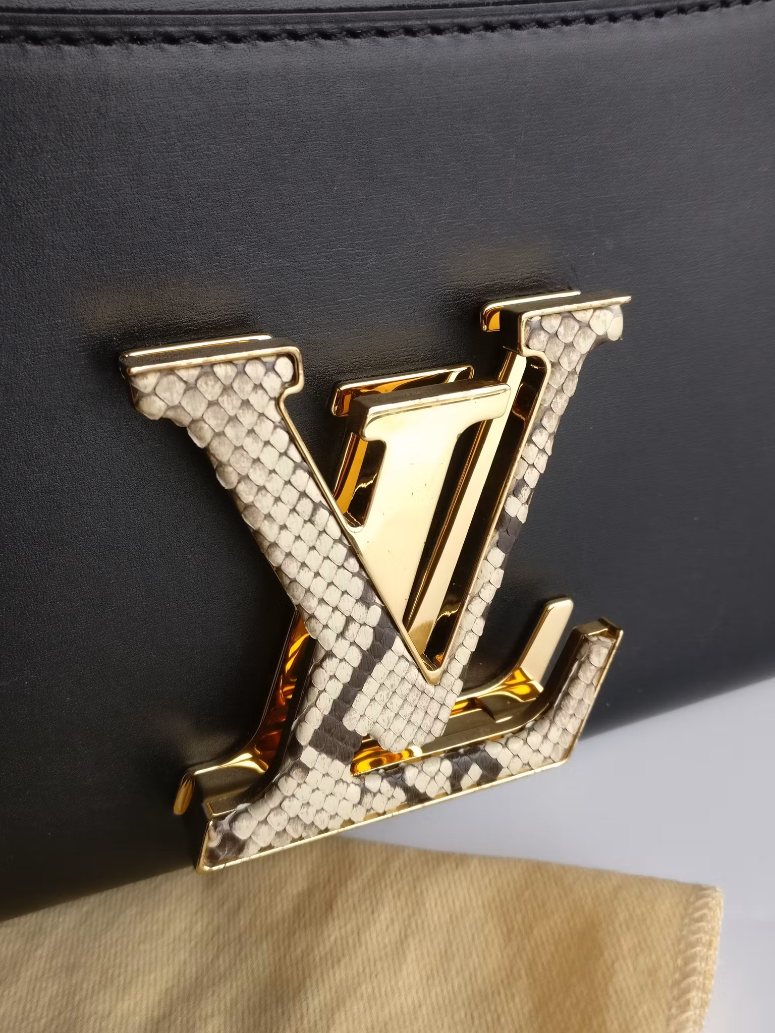 Louis Vuitton Pochette Louise GM Chain Bag Python Clasp