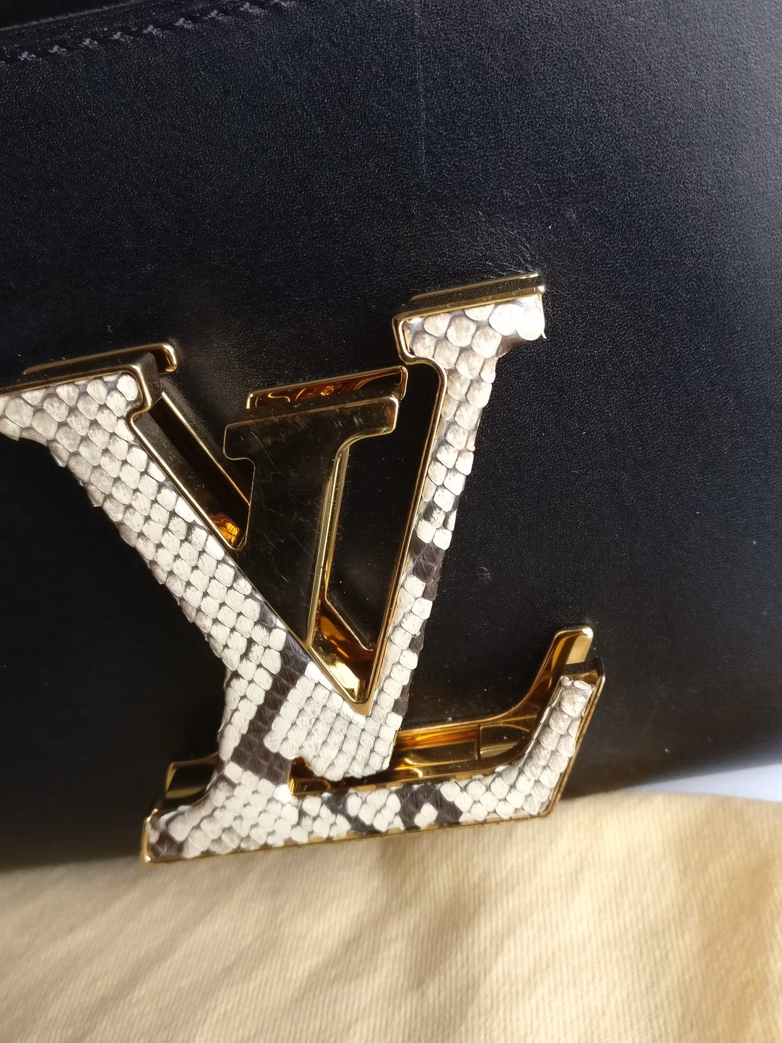 Louis Vuitton Pochette Louise GM Chain Bag Python Clasp