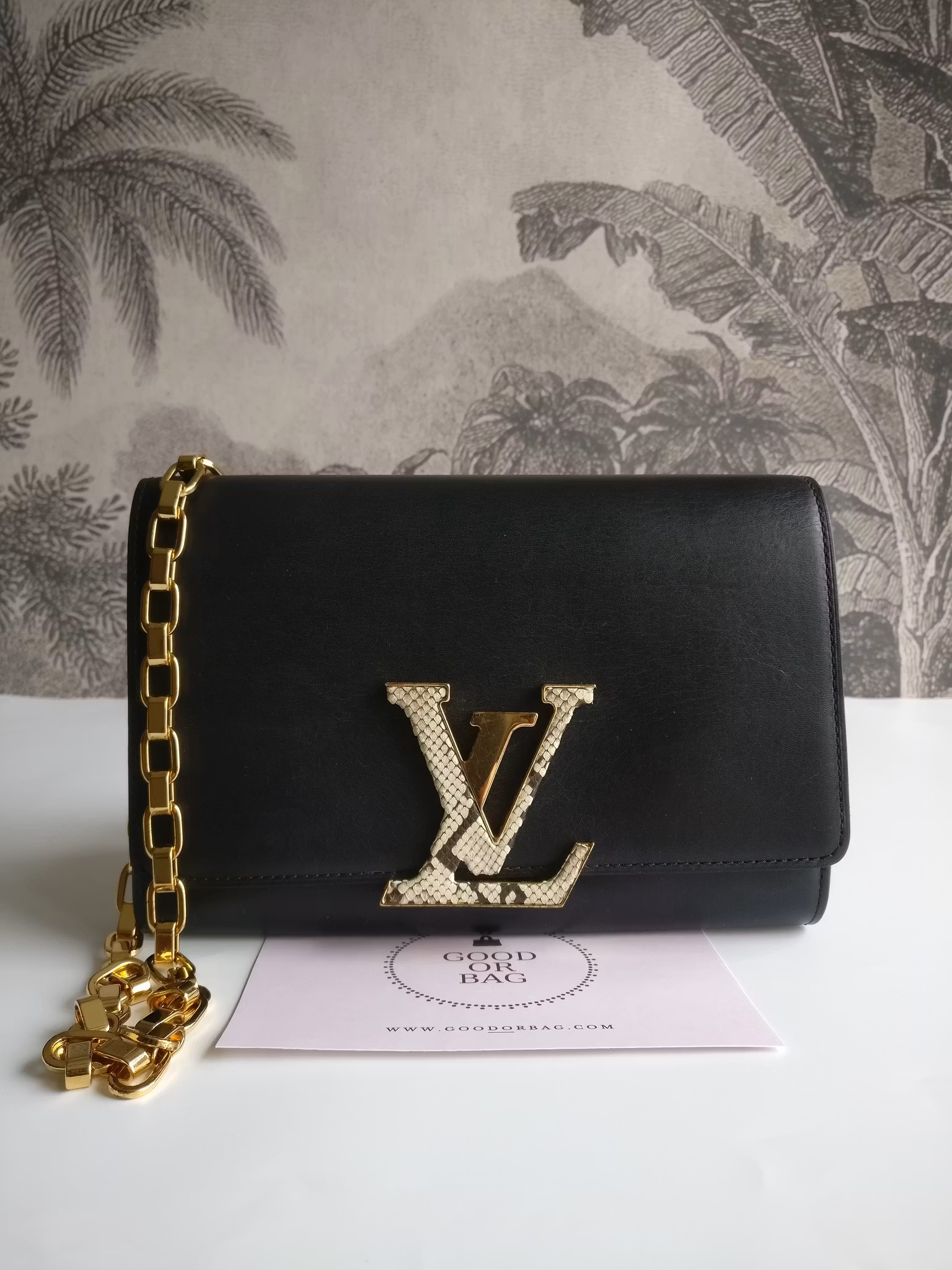 Louis Vuitton Pochette Louise GM Chain Bag Python Clasp