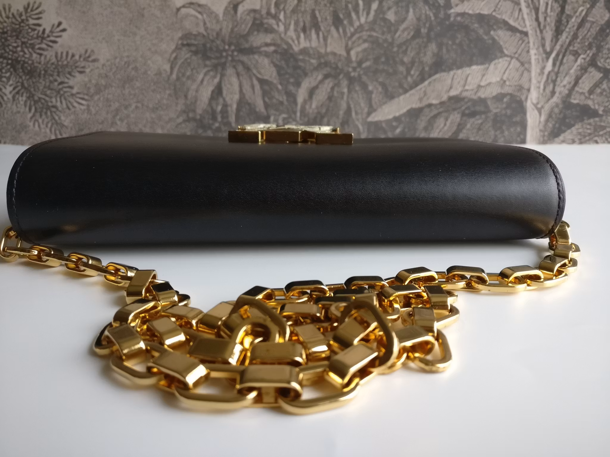 Louis Vuitton Pochette Louise GM Chain Bag Python Clasp