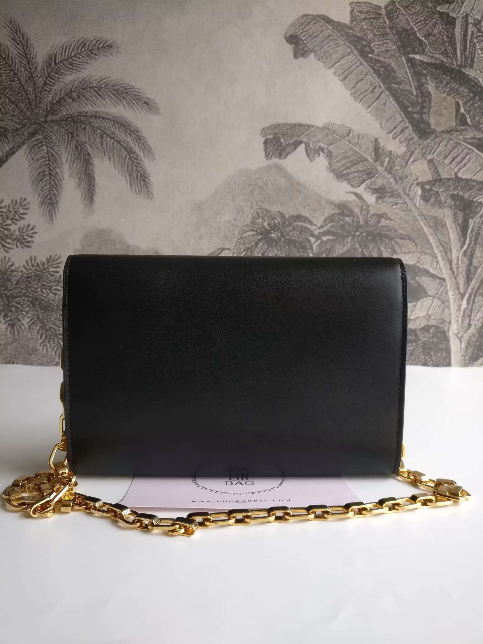 Louis Vuitton Pochette Louise GM Chain Bag Python Clasp