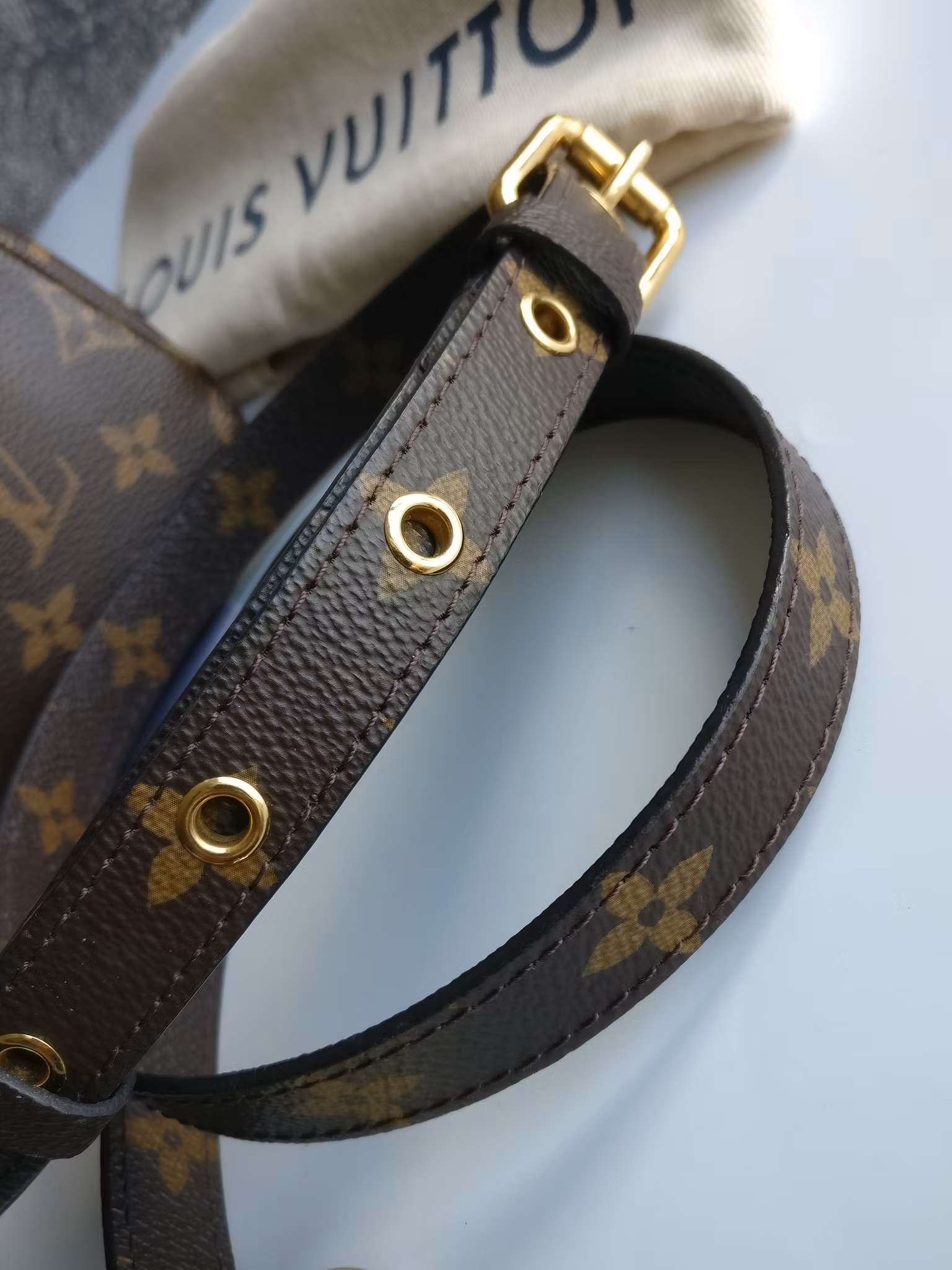 Louis Vuitton Pochette Metis