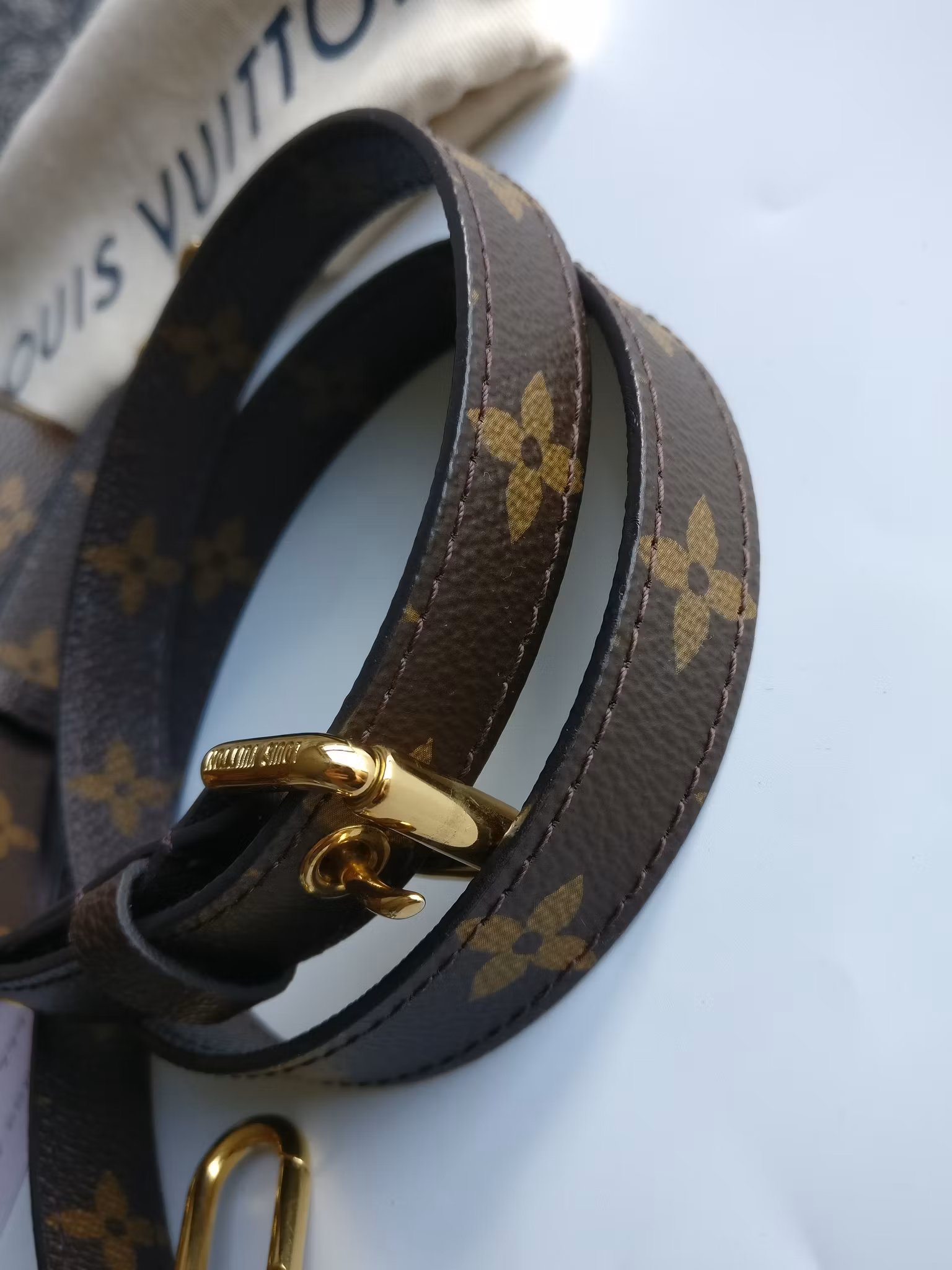 Louis Vuitton Pochette Metis