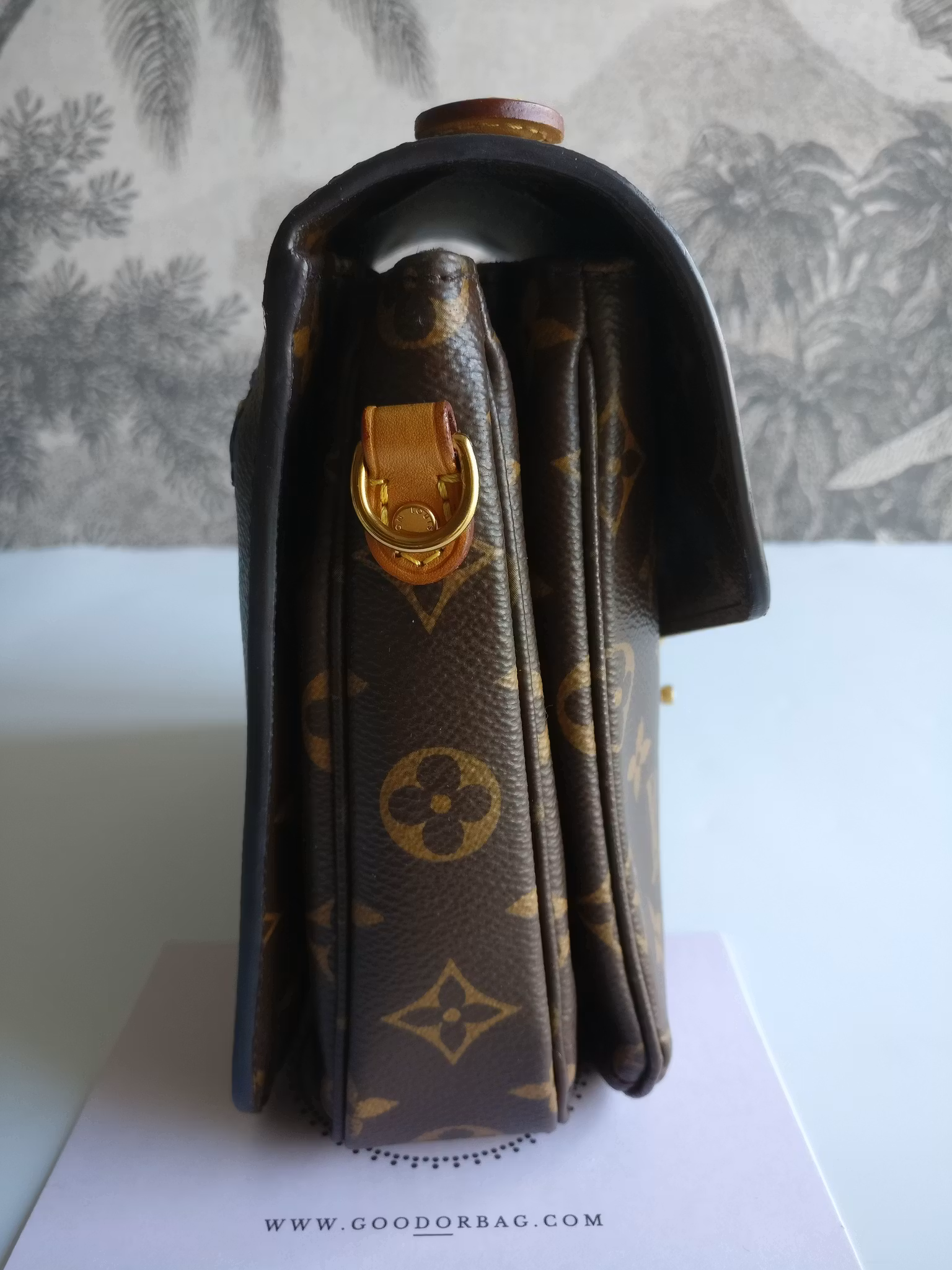 Louis Vuitton Pochette Metis