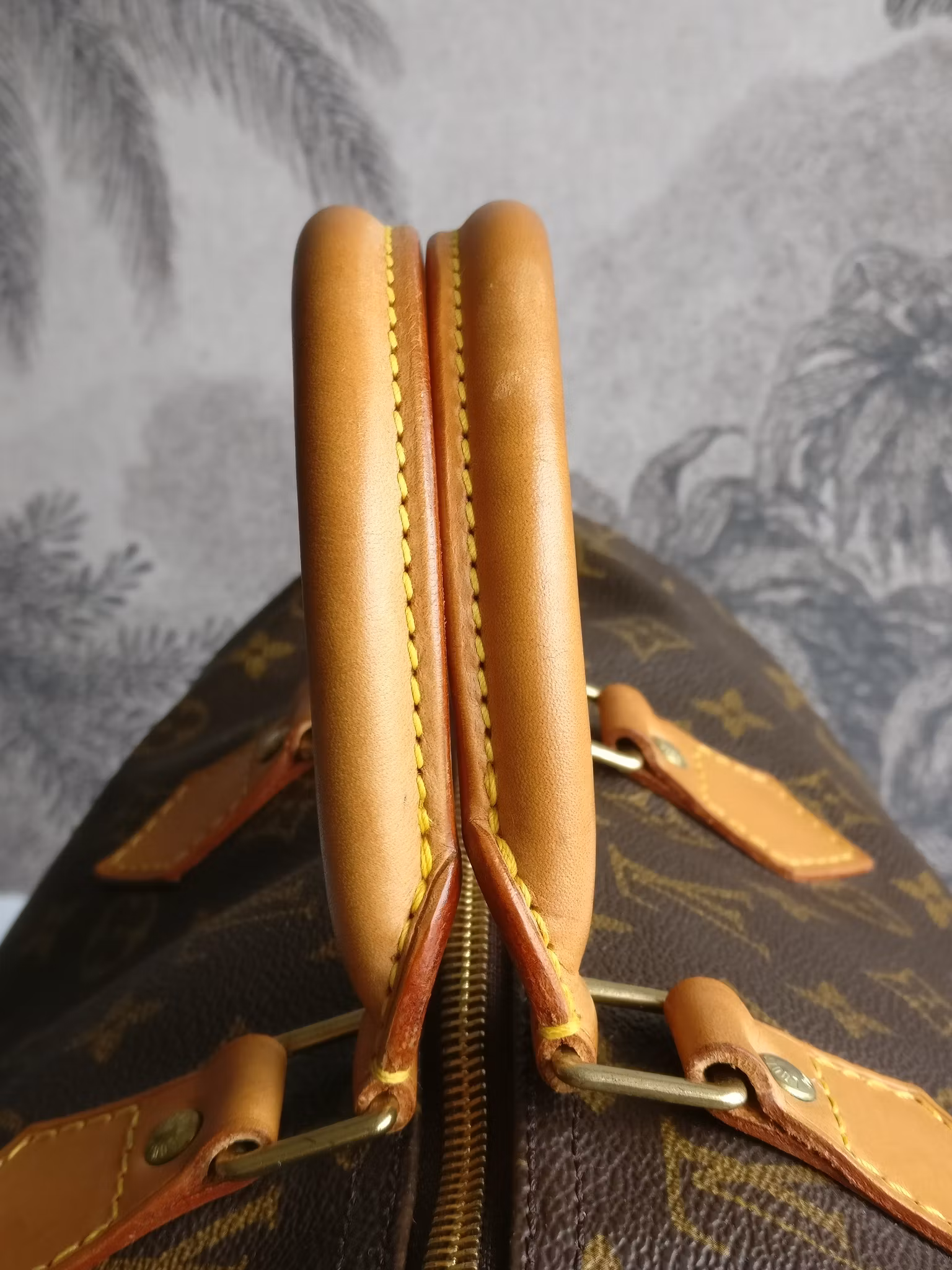 Louis Vuitton Speedy 40