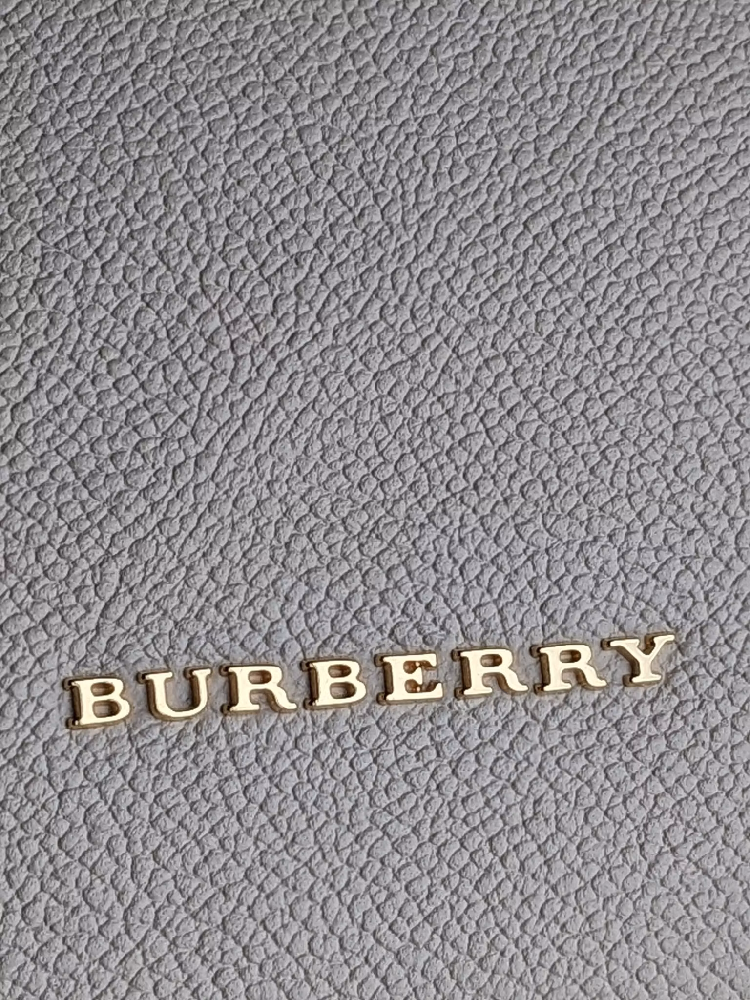 Burberry Small Helmsley Python