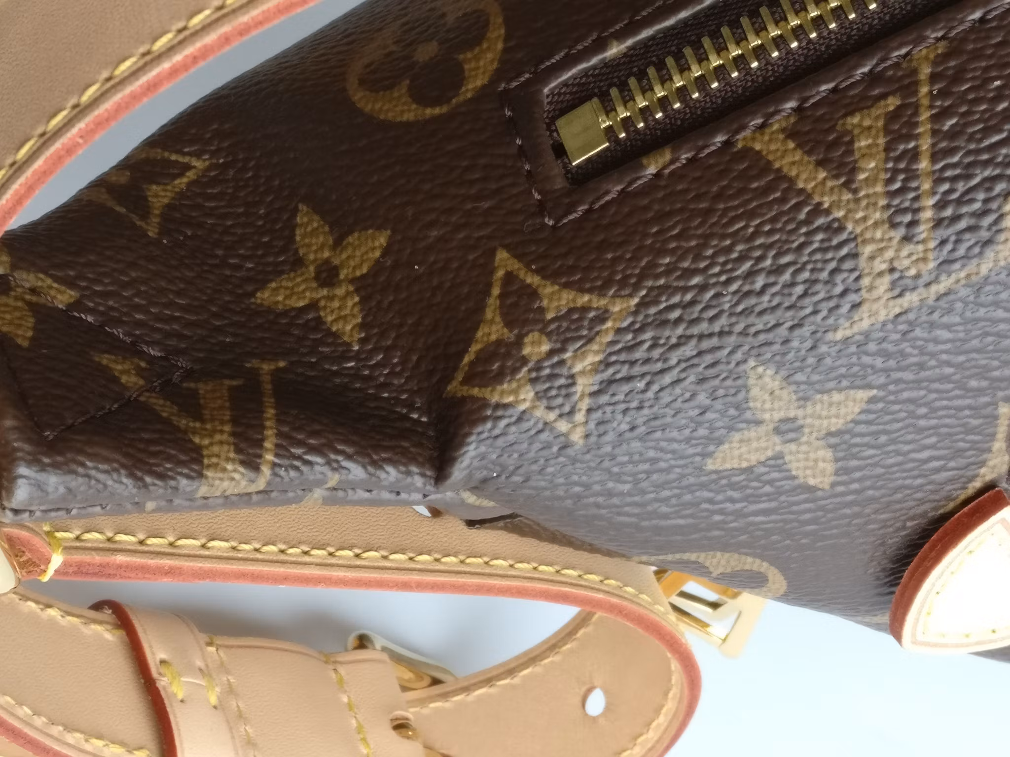 Louis Vuitton Bumbag