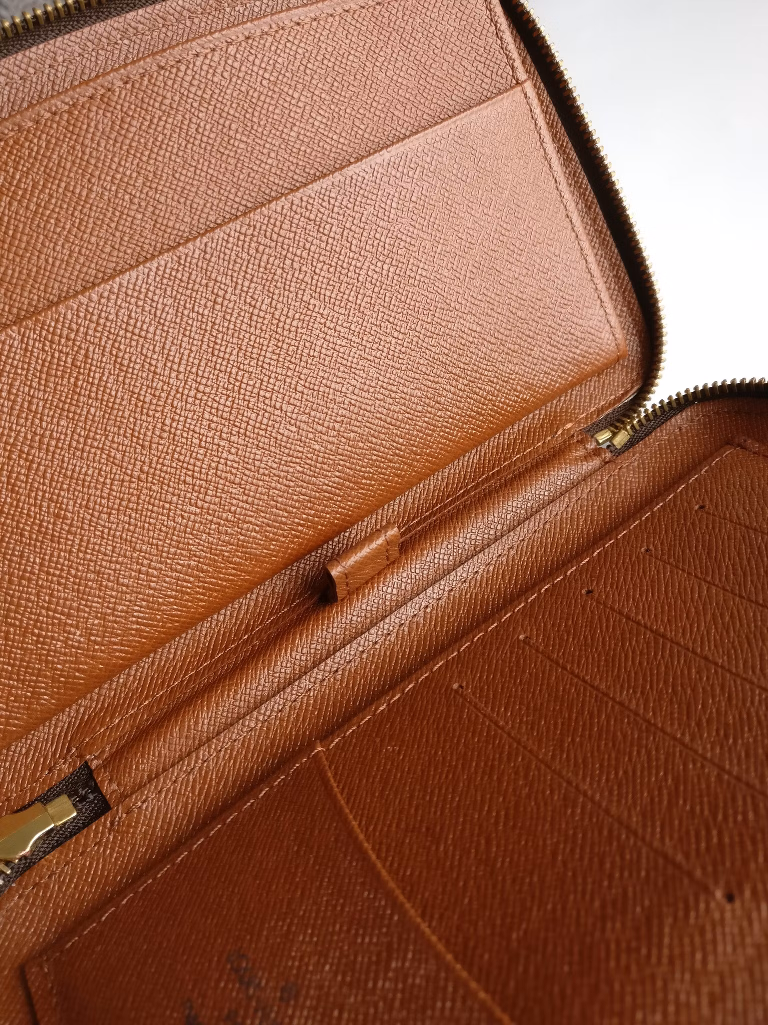 Louis Vuitton Geode Travel Case Organizer