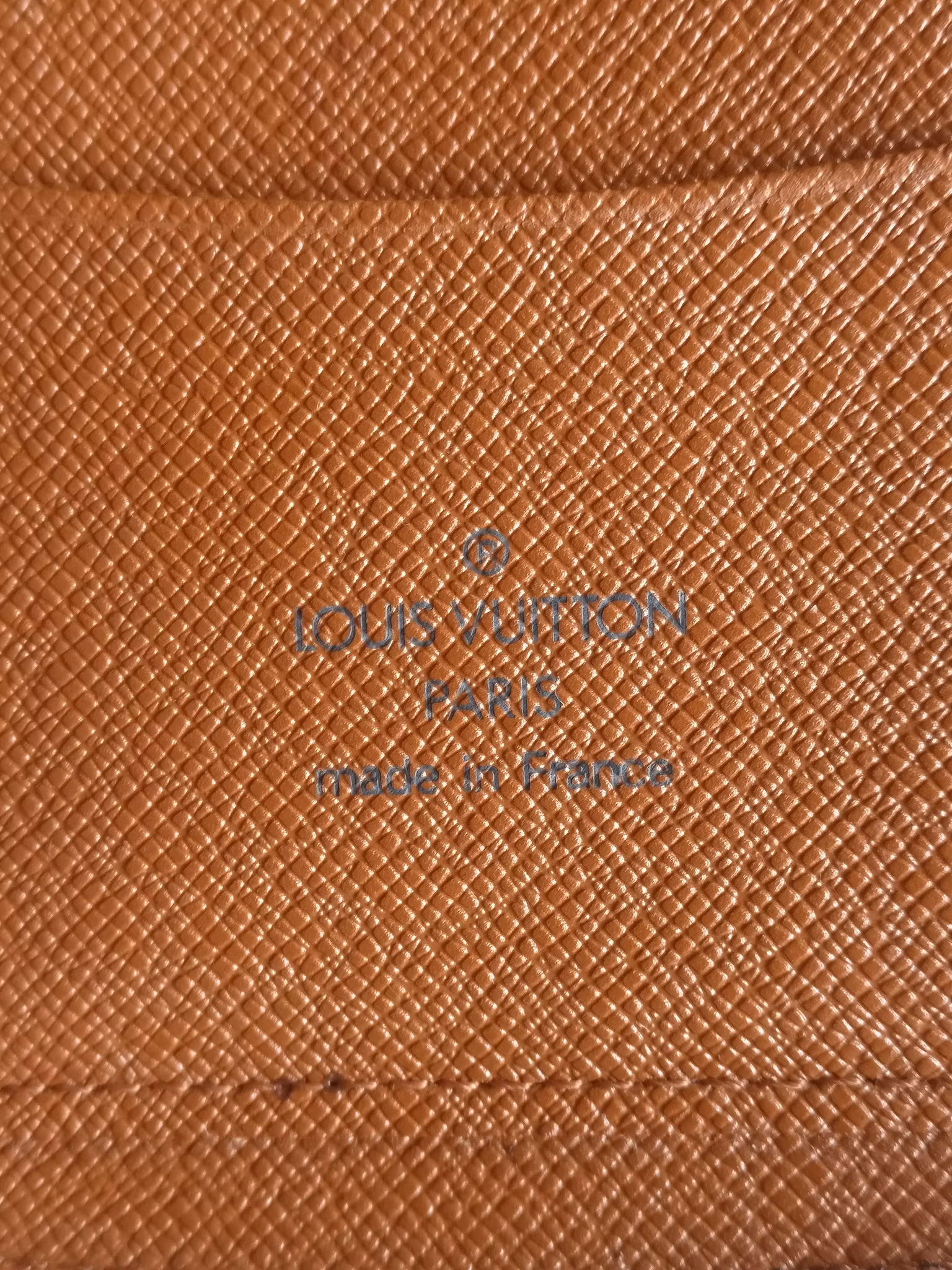 Louis Vuitton Geode Travel Case Organizer