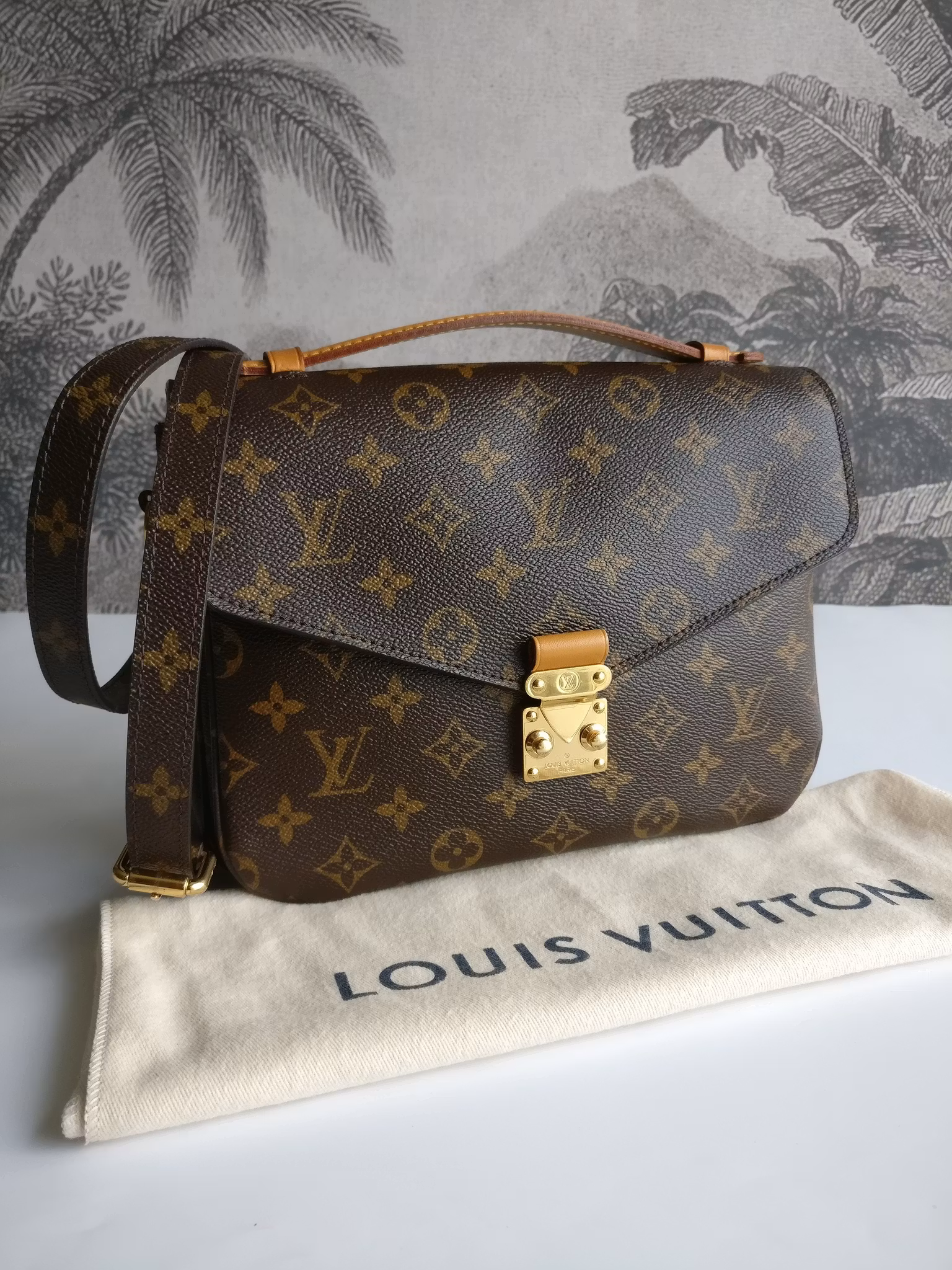 Louis Vuitton Pochette Metis