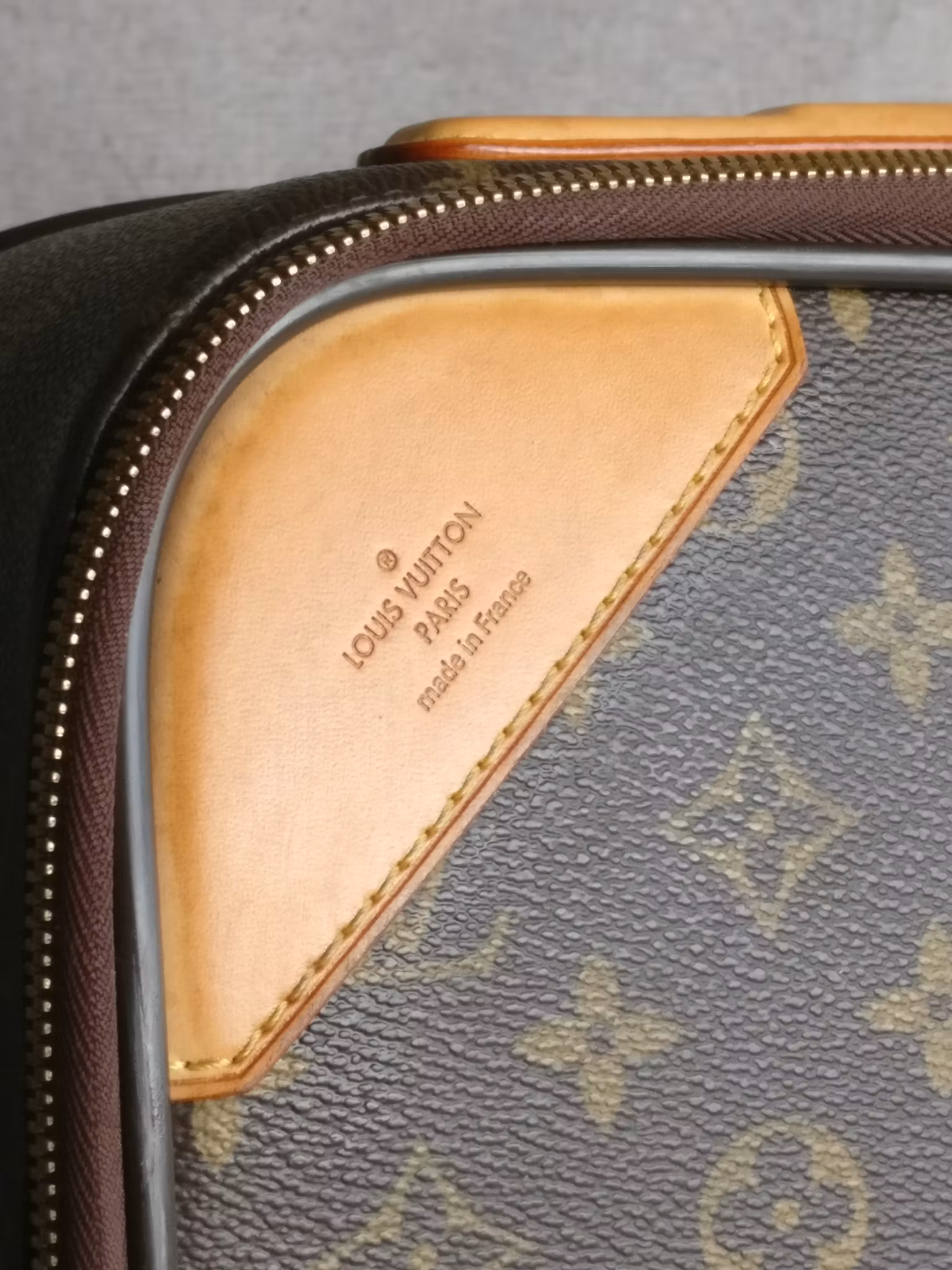 Louis Vuitton Pegase 55 with bag cover