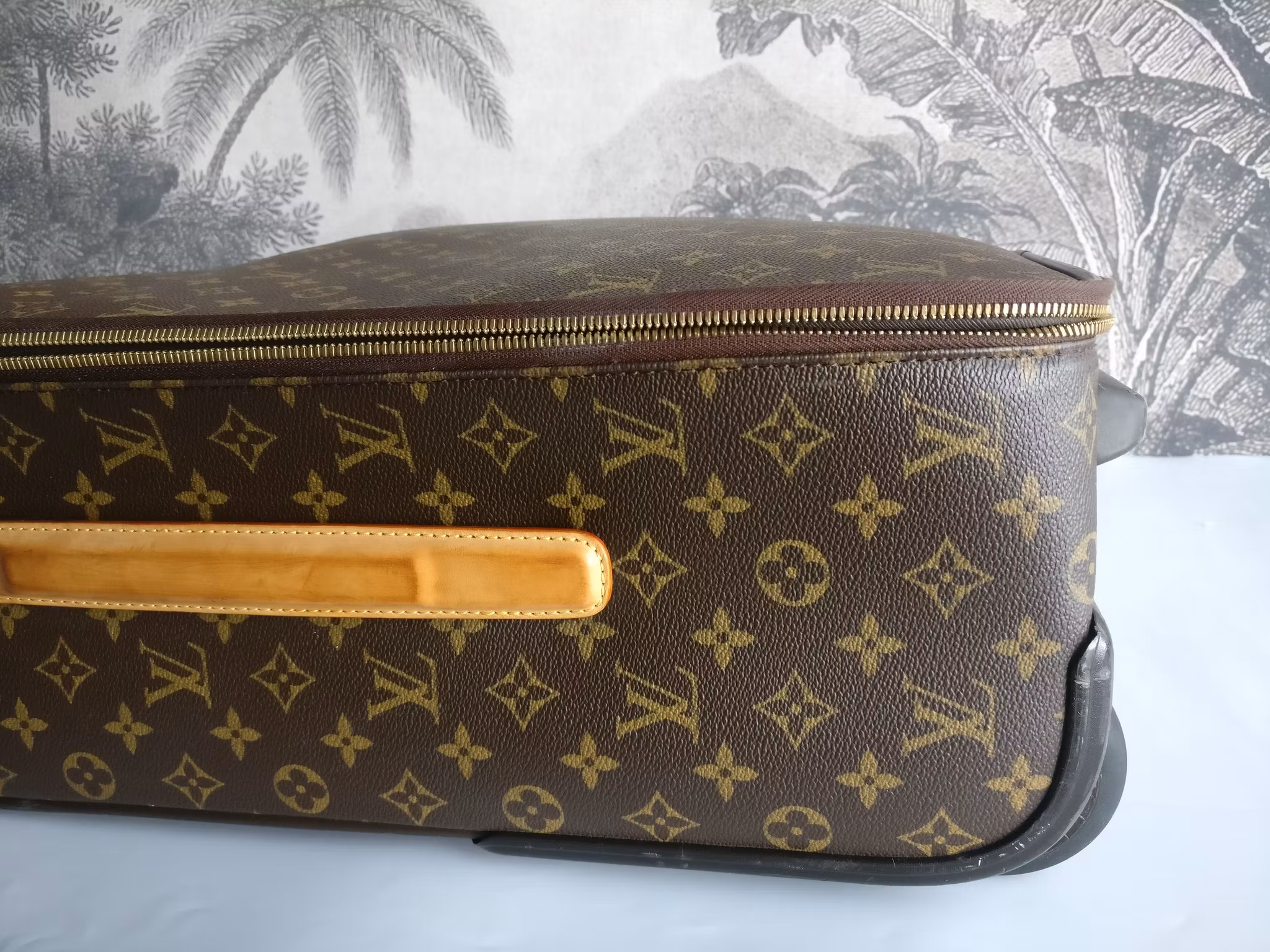 Louis Vuitton Pegase 55 with bag cover