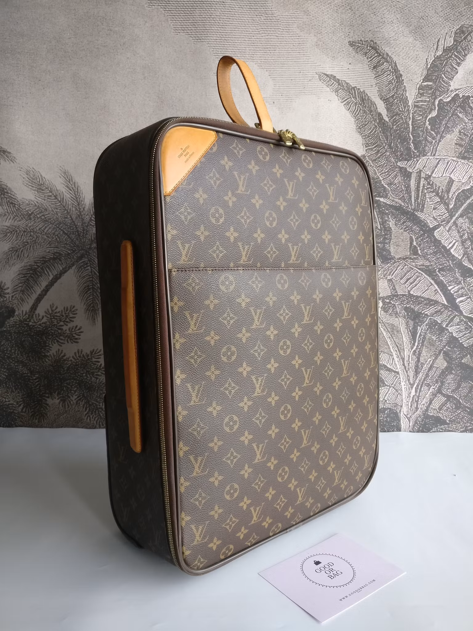 Louis Vuitton Pegase 55 with bag cover