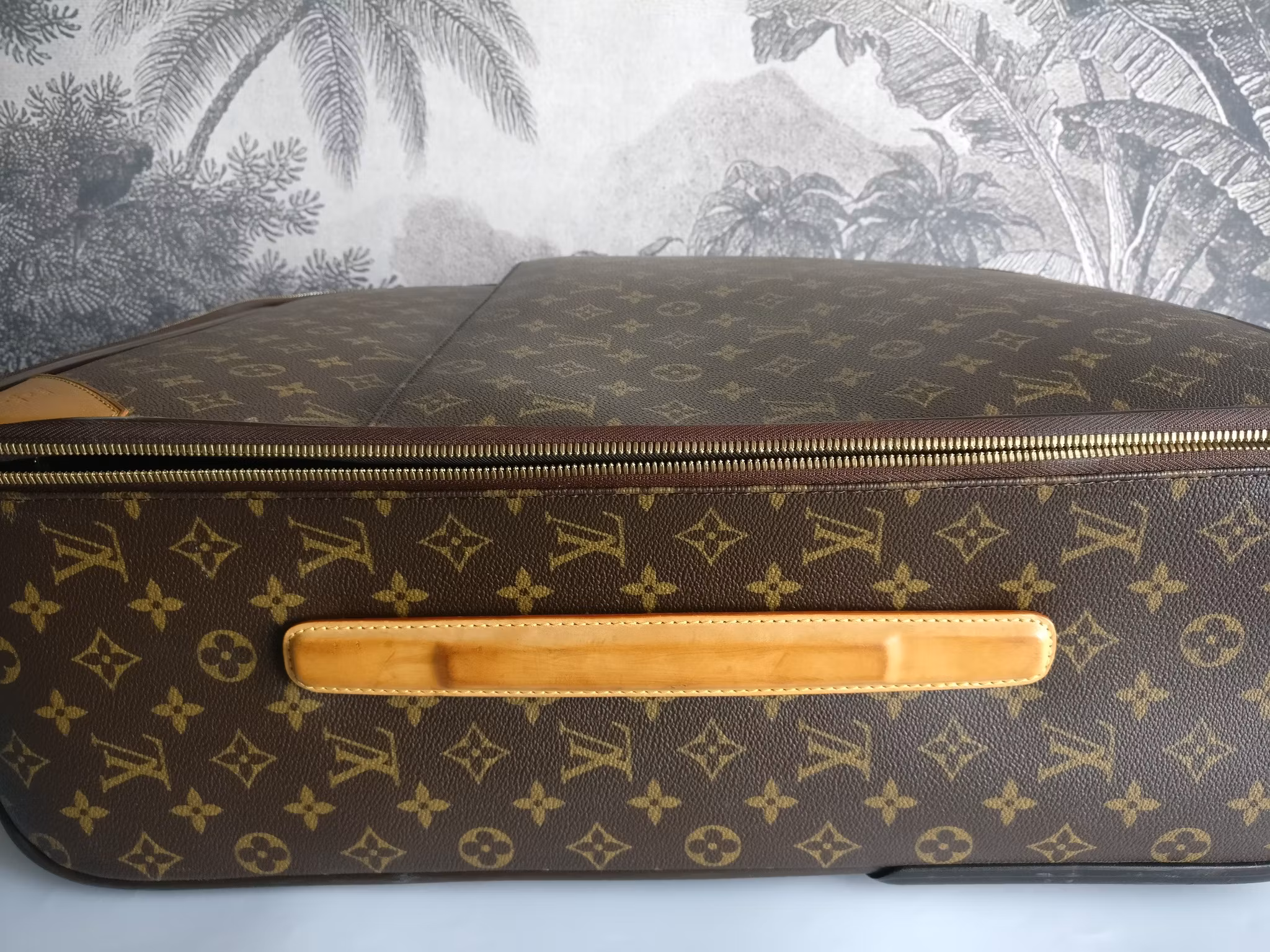 Louis Vuitton Pegase 55 with bag cover