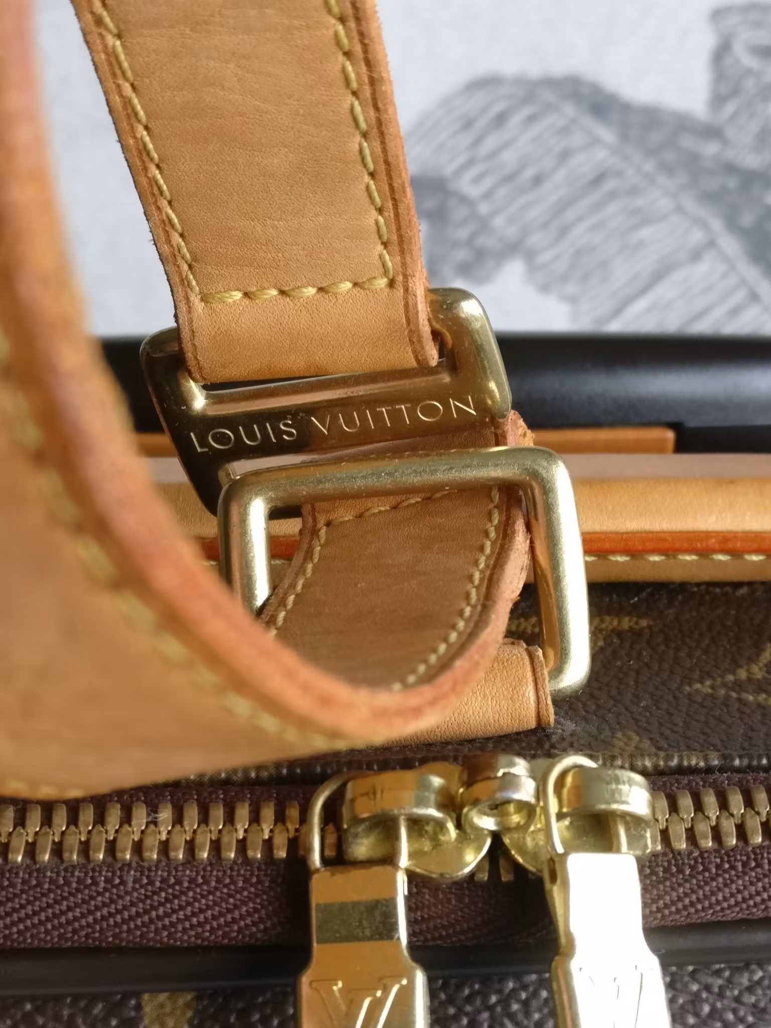 Louis Vuitton Pegase 55 with bag cover