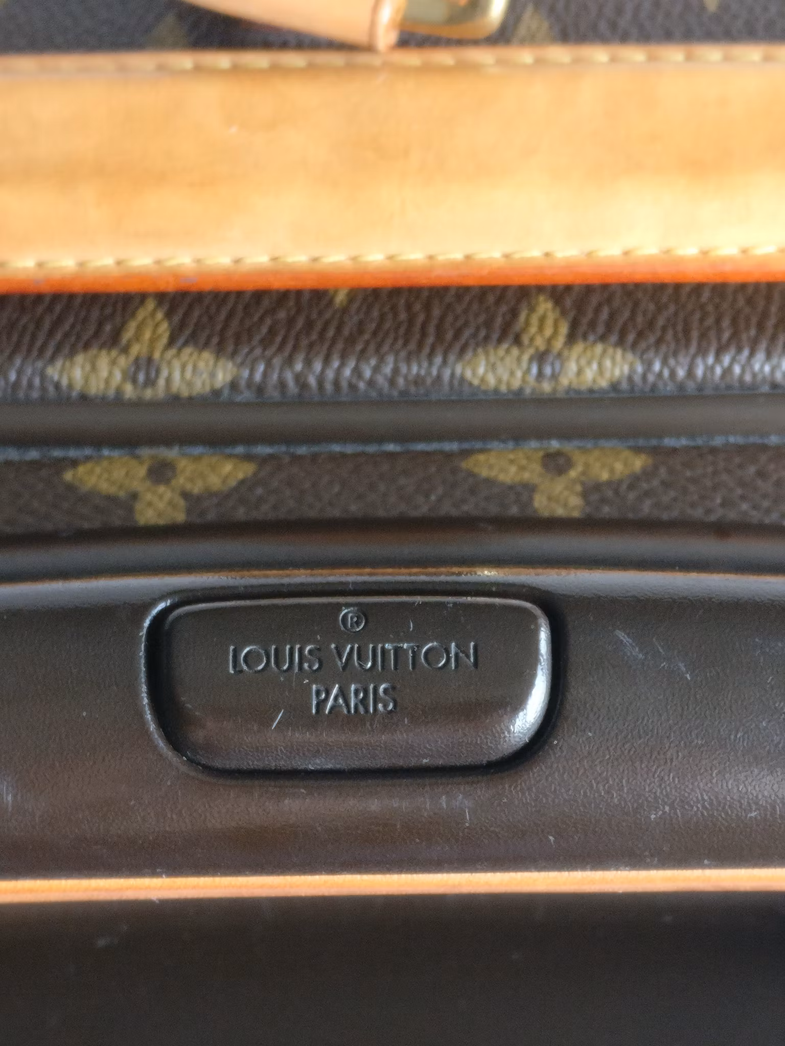 Louis Vuitton Pegase 55 with bag cover