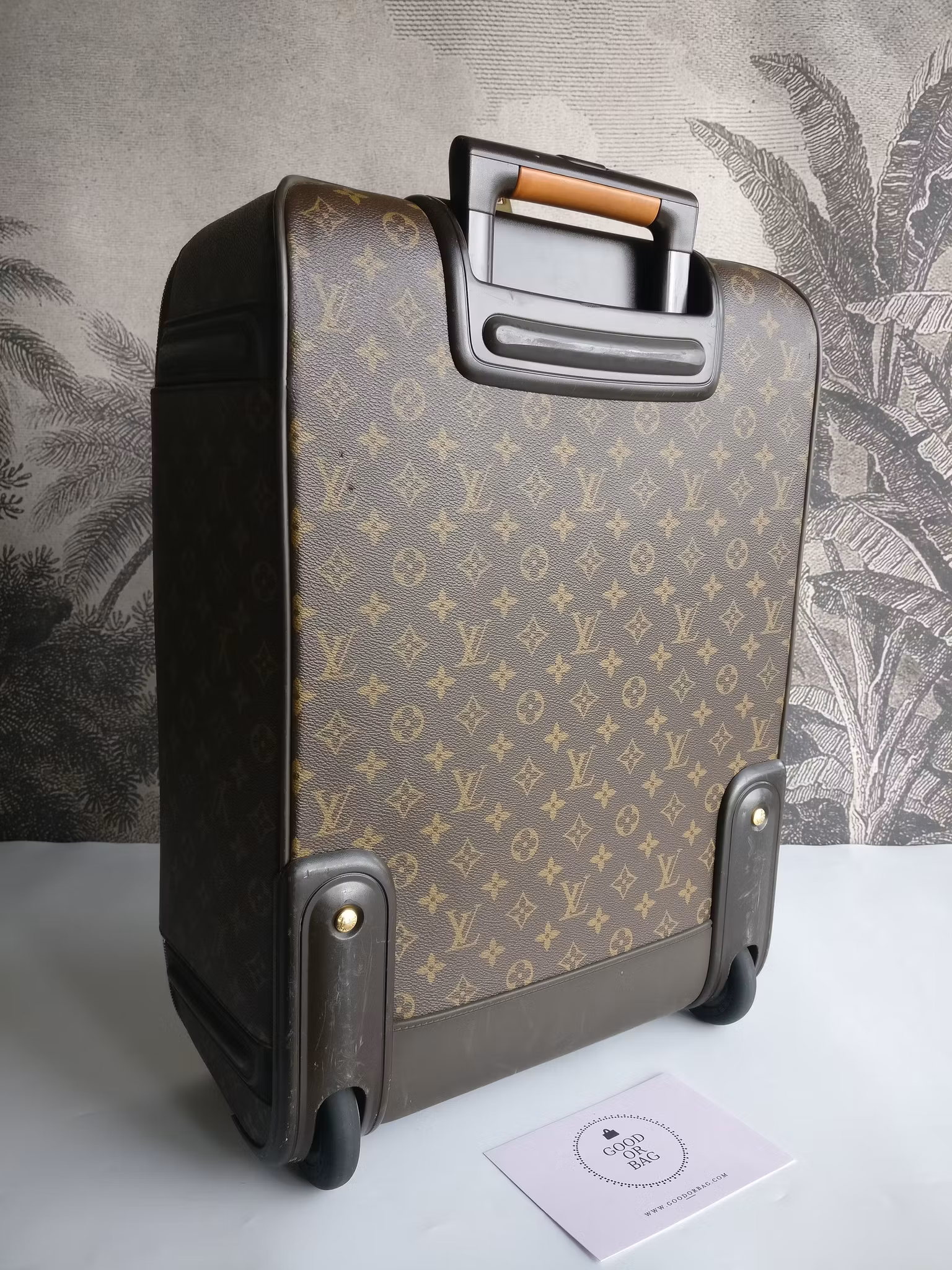 Louis Vuitton Pegase 55 with bag cover