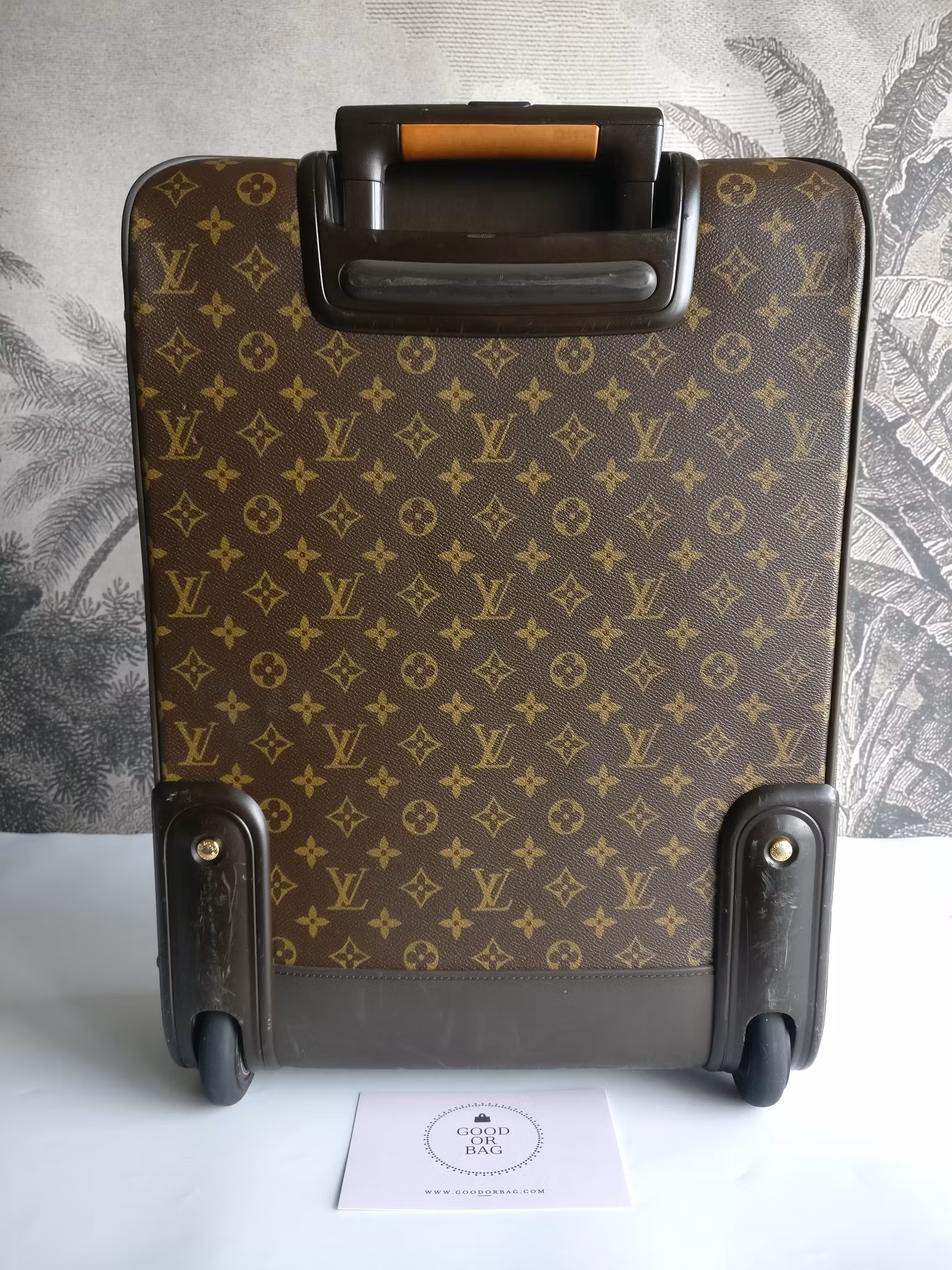 Louis Vuitton Pegase 55 with bag cover