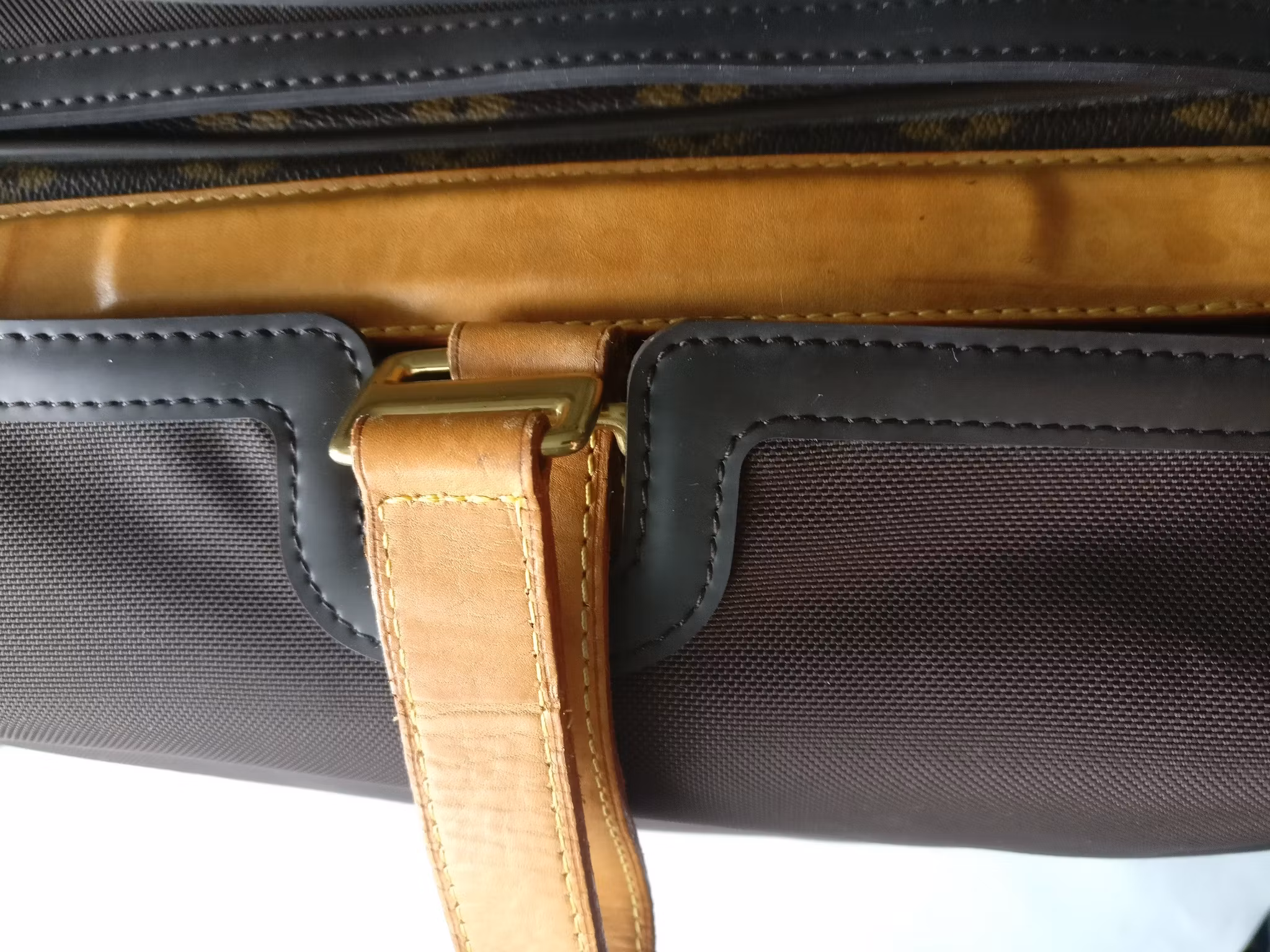 Louis Vuitton Pegase 55 with bag cover