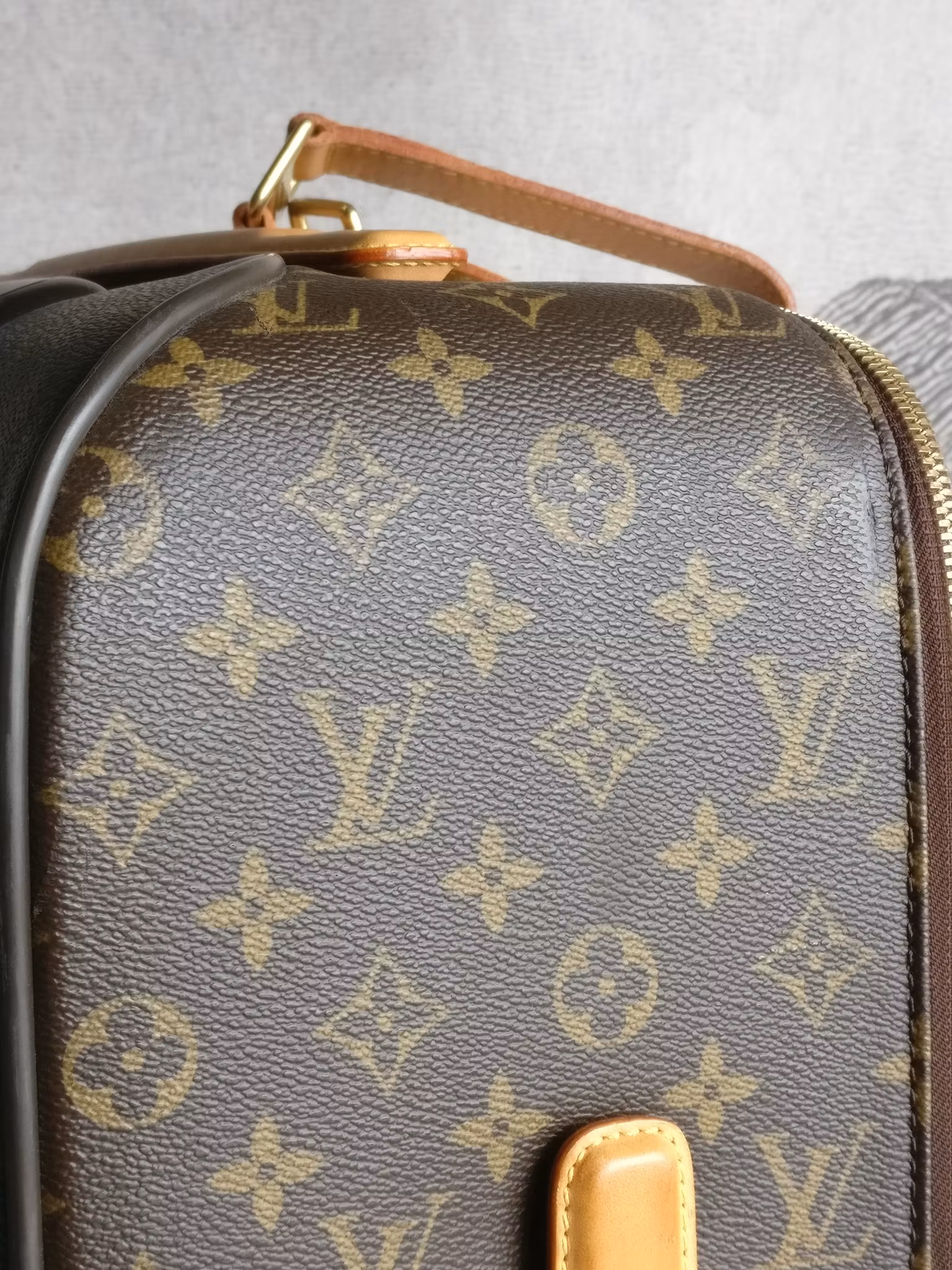Louis Vuitton Pegase 55 with bag cover