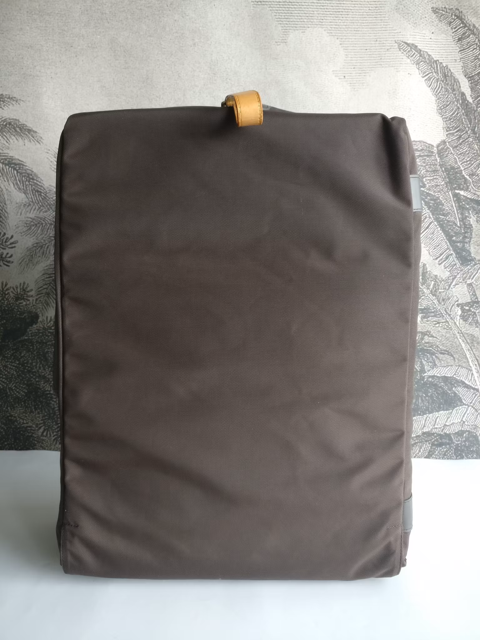 Louis Vuitton Pegase 55 with bag cover