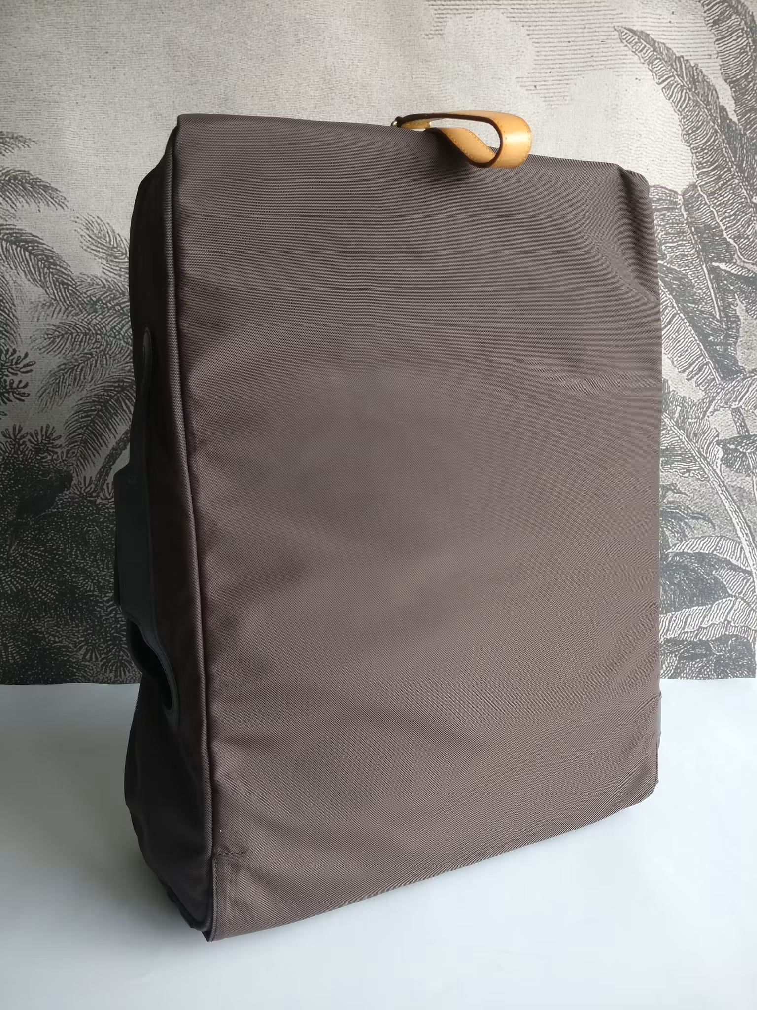 Louis Vuitton Pegase 55 with bag cover