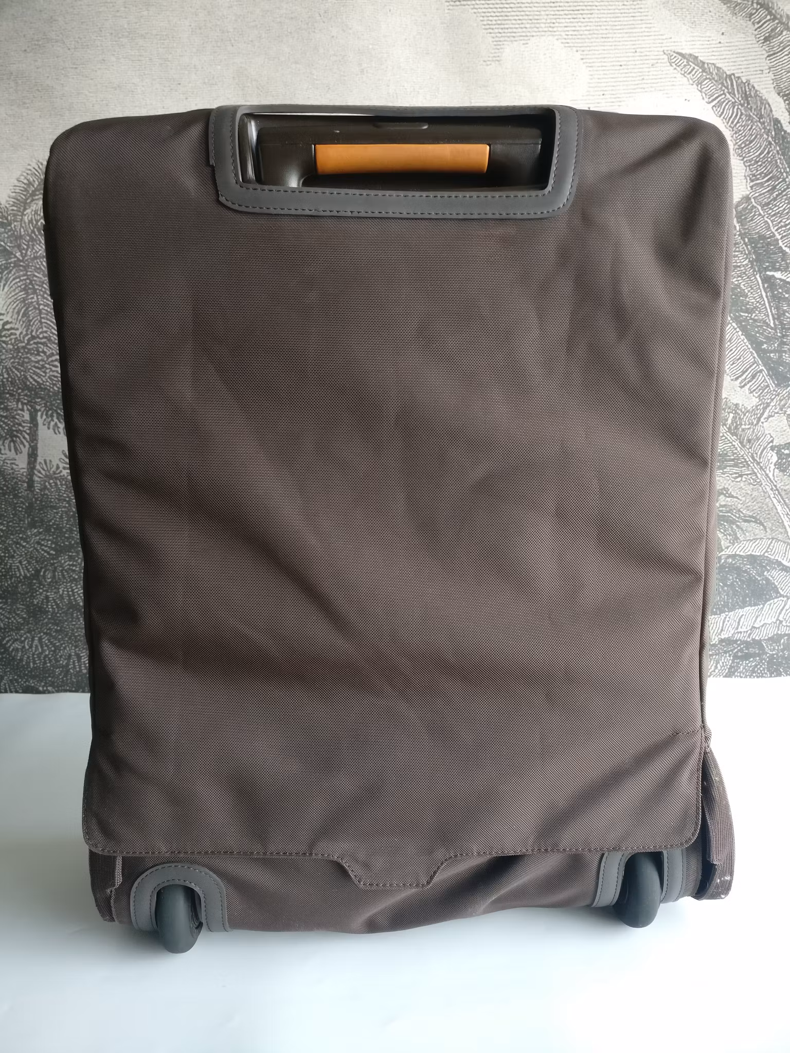Louis Vuitton Pegase 55 with bag cover