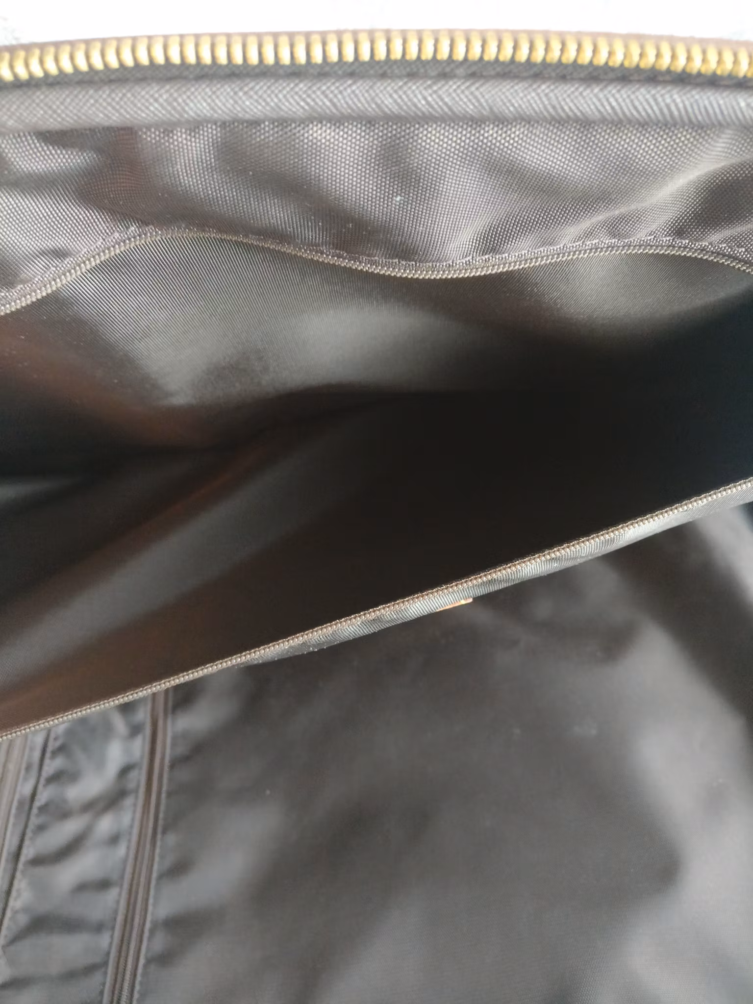 Louis Vuitton Pegase 55 with bag cover