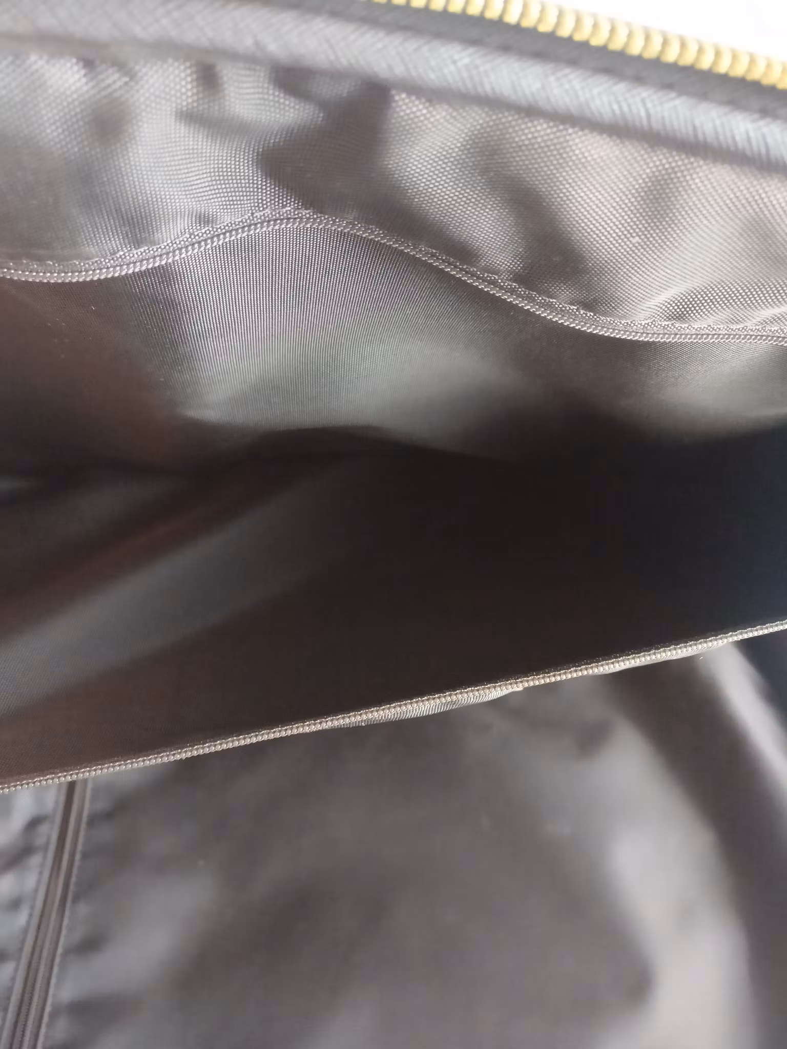 Louis Vuitton Pegase 55 with bag cover