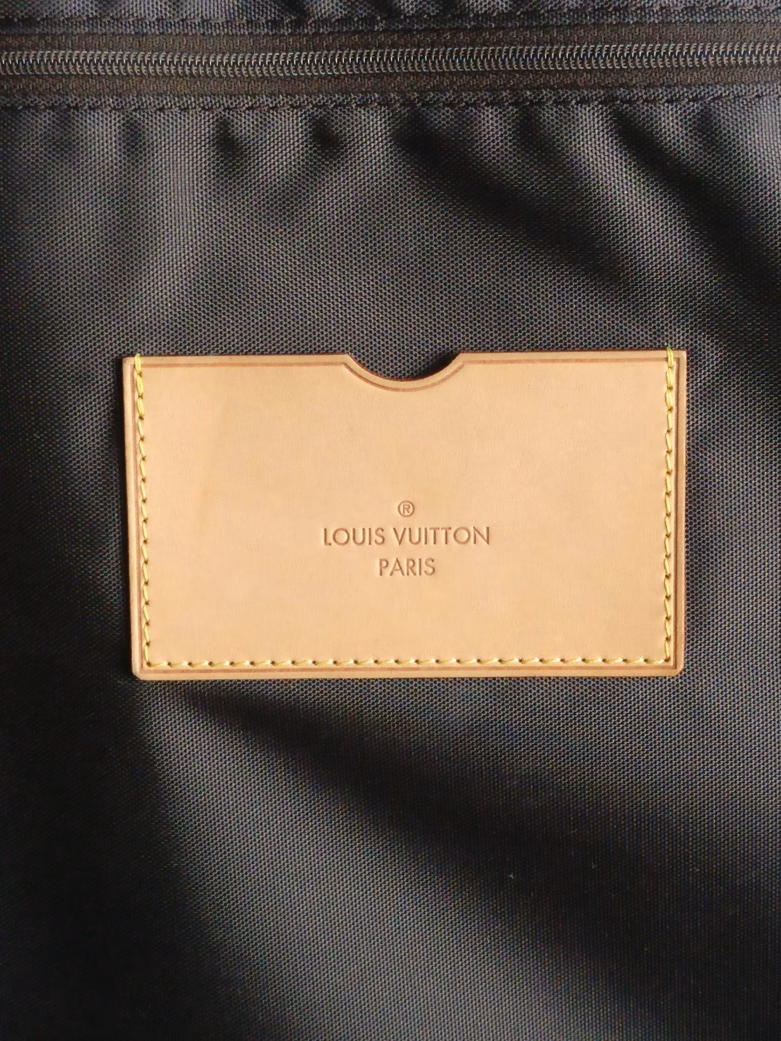 Louis Vuitton Pegase 55 with bag cover