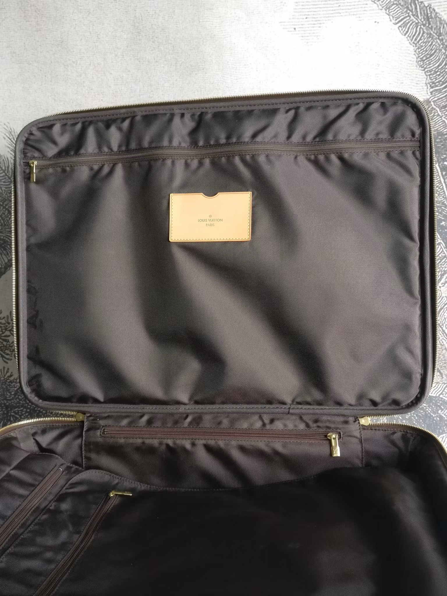 Louis Vuitton Pegase 55 with bag cover