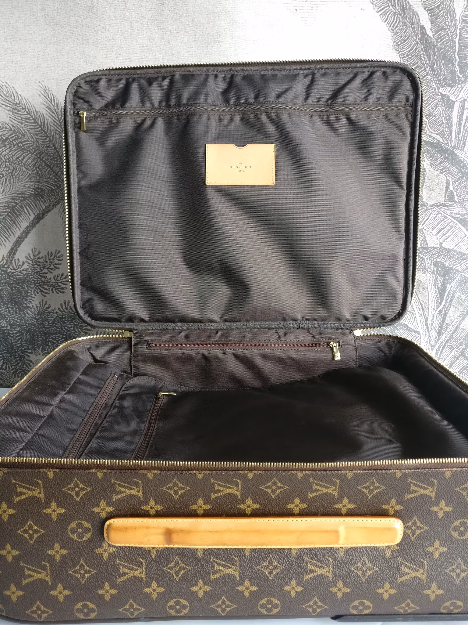 Louis Vuitton Pegase 55 with bag cover