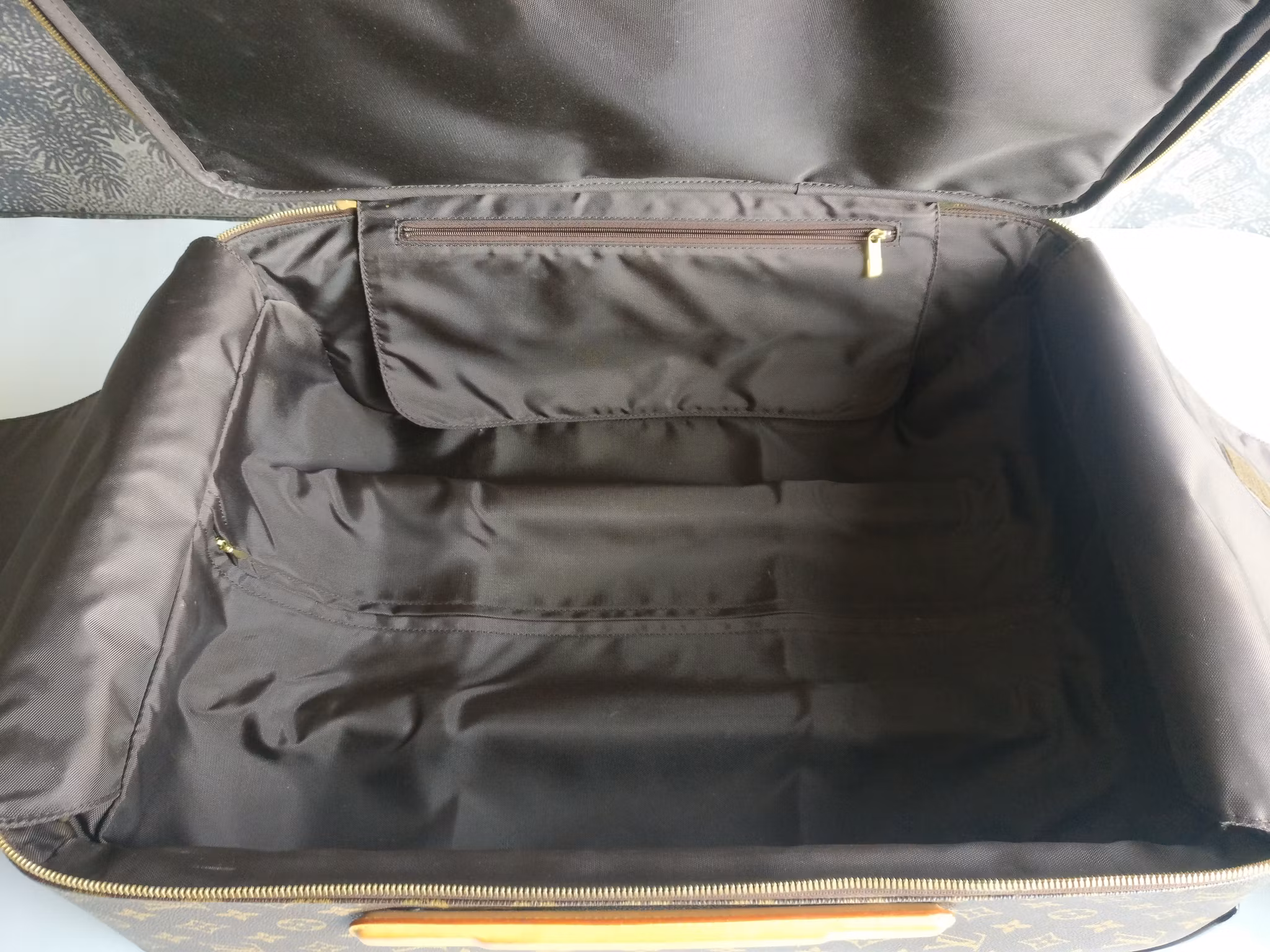 Louis Vuitton Pegase 55 with bag cover