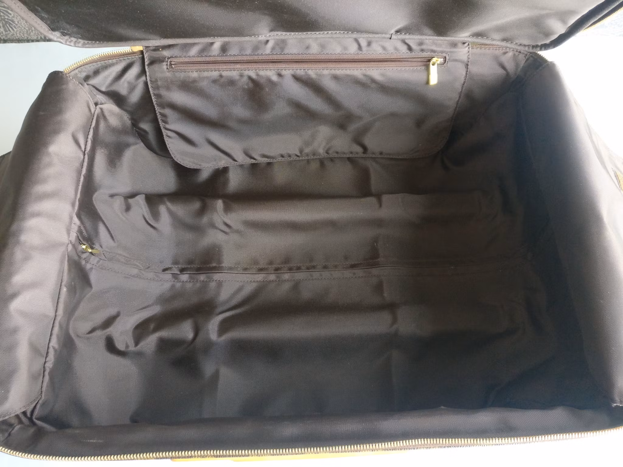 Louis Vuitton Pegase 55 with bag cover