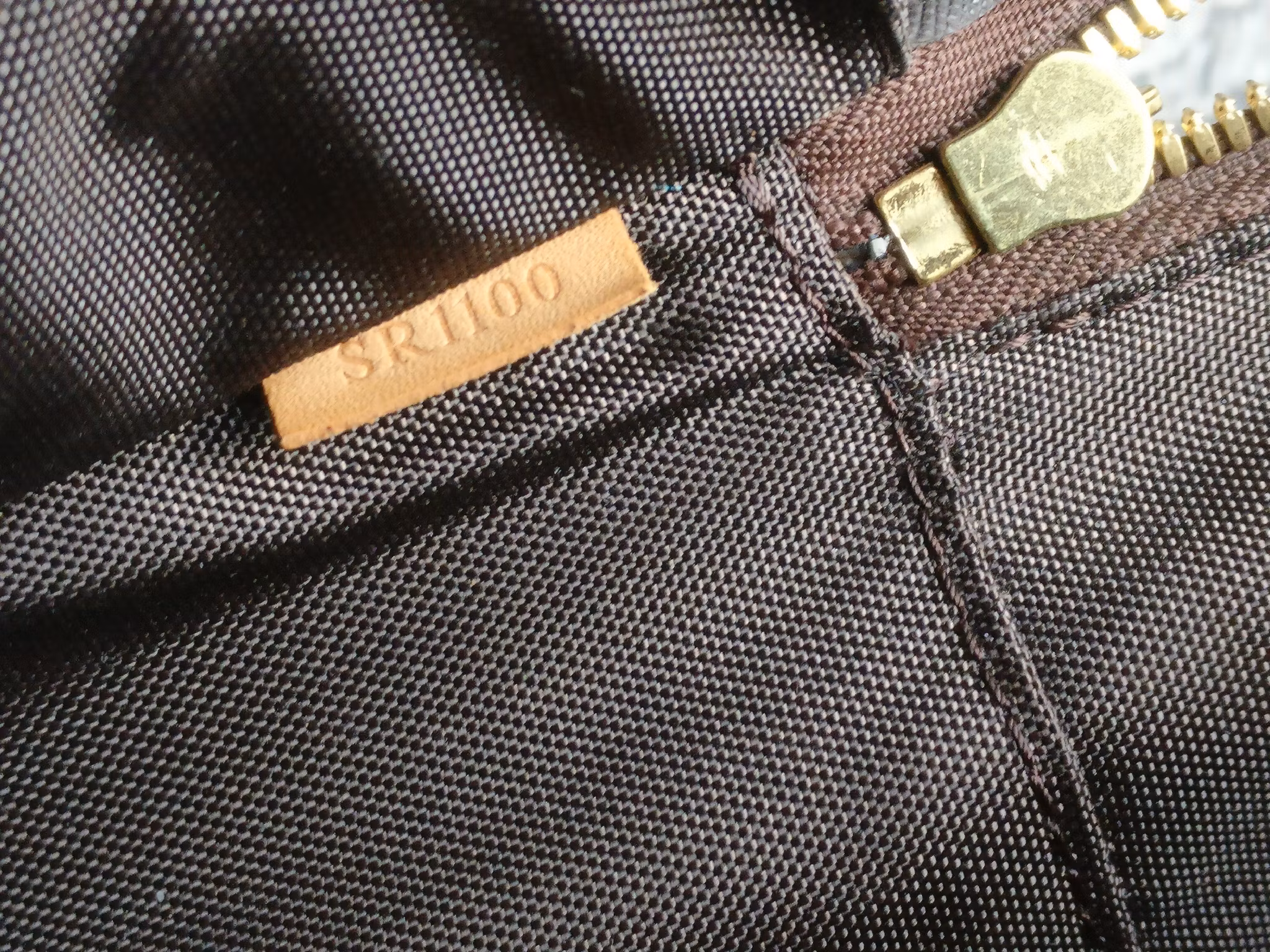 Louis Vuitton Pegase 55 with bag cover