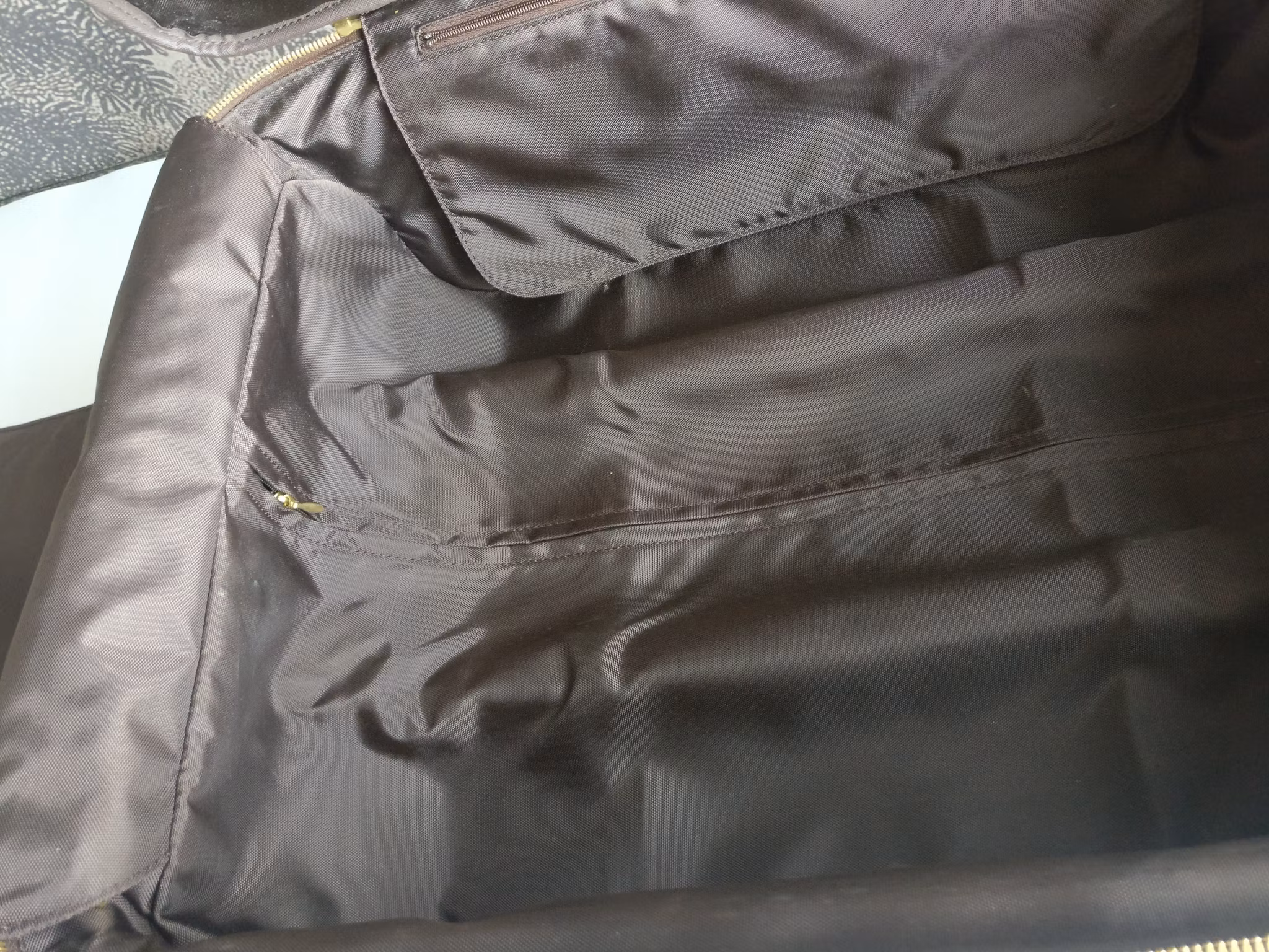 Louis Vuitton Pegase 55 with bag cover