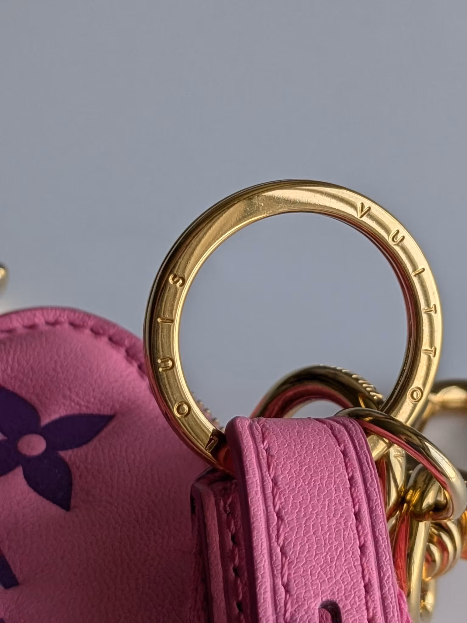 Louis Vuitton Lanyard Multipochette Key Holder