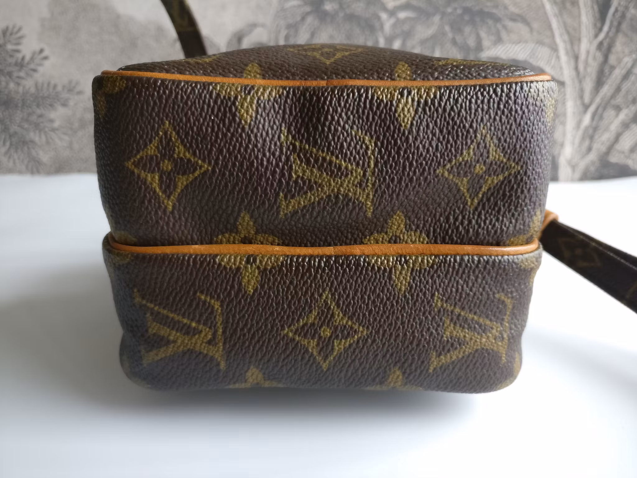 Louis Vuitton Mini Amazon