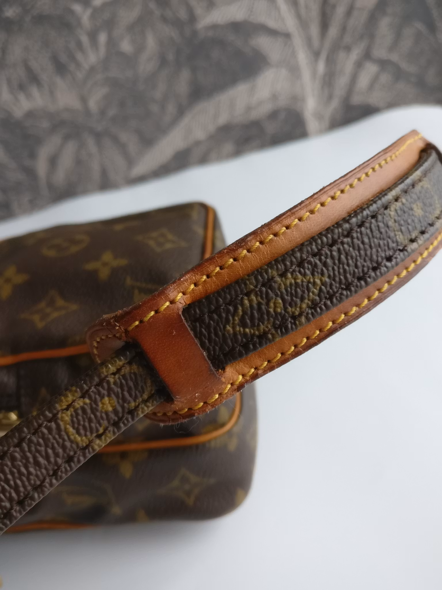 Louis Vuitton Mini Amazon
