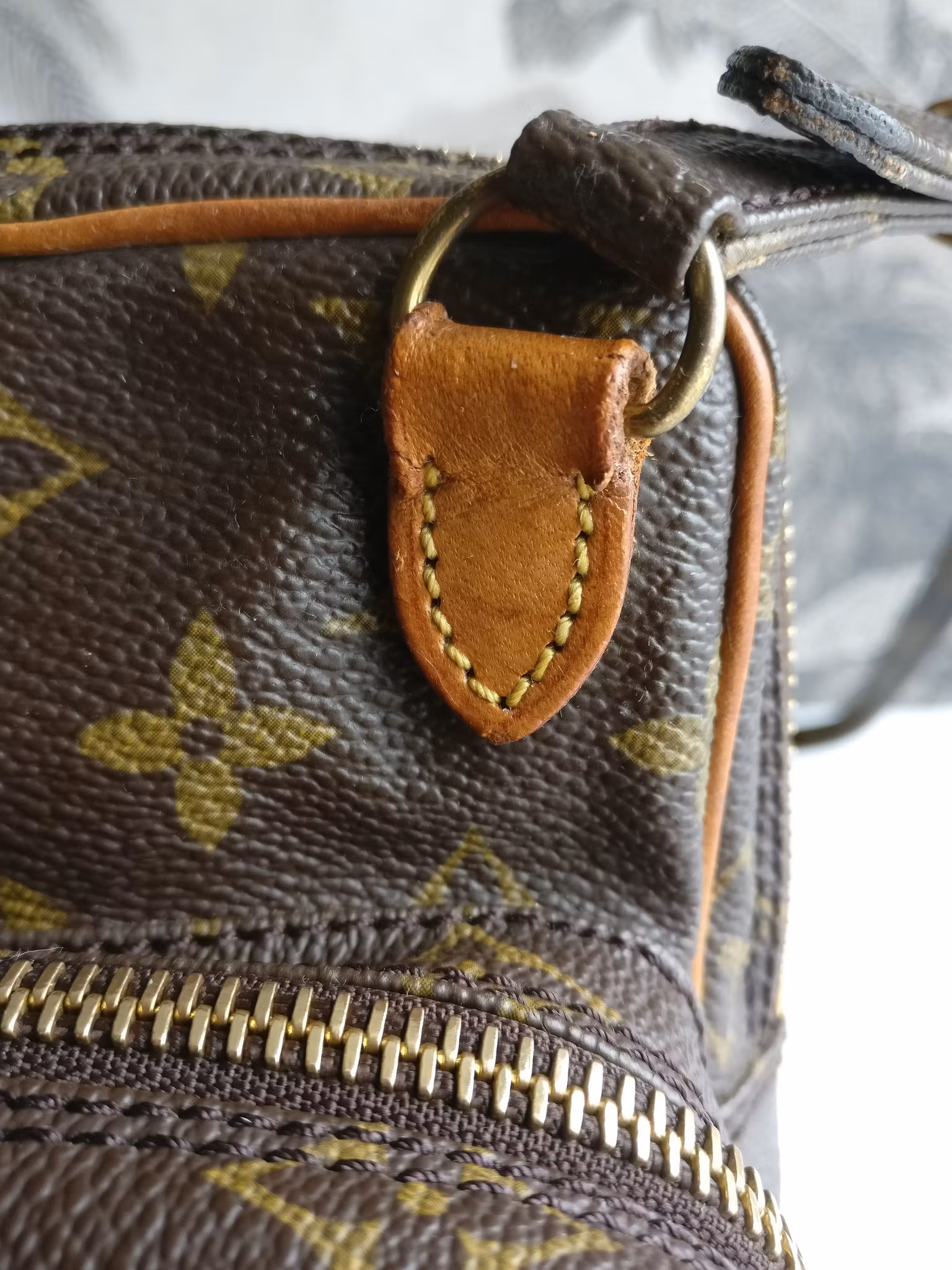 Louis Vuitton Mini Amazon