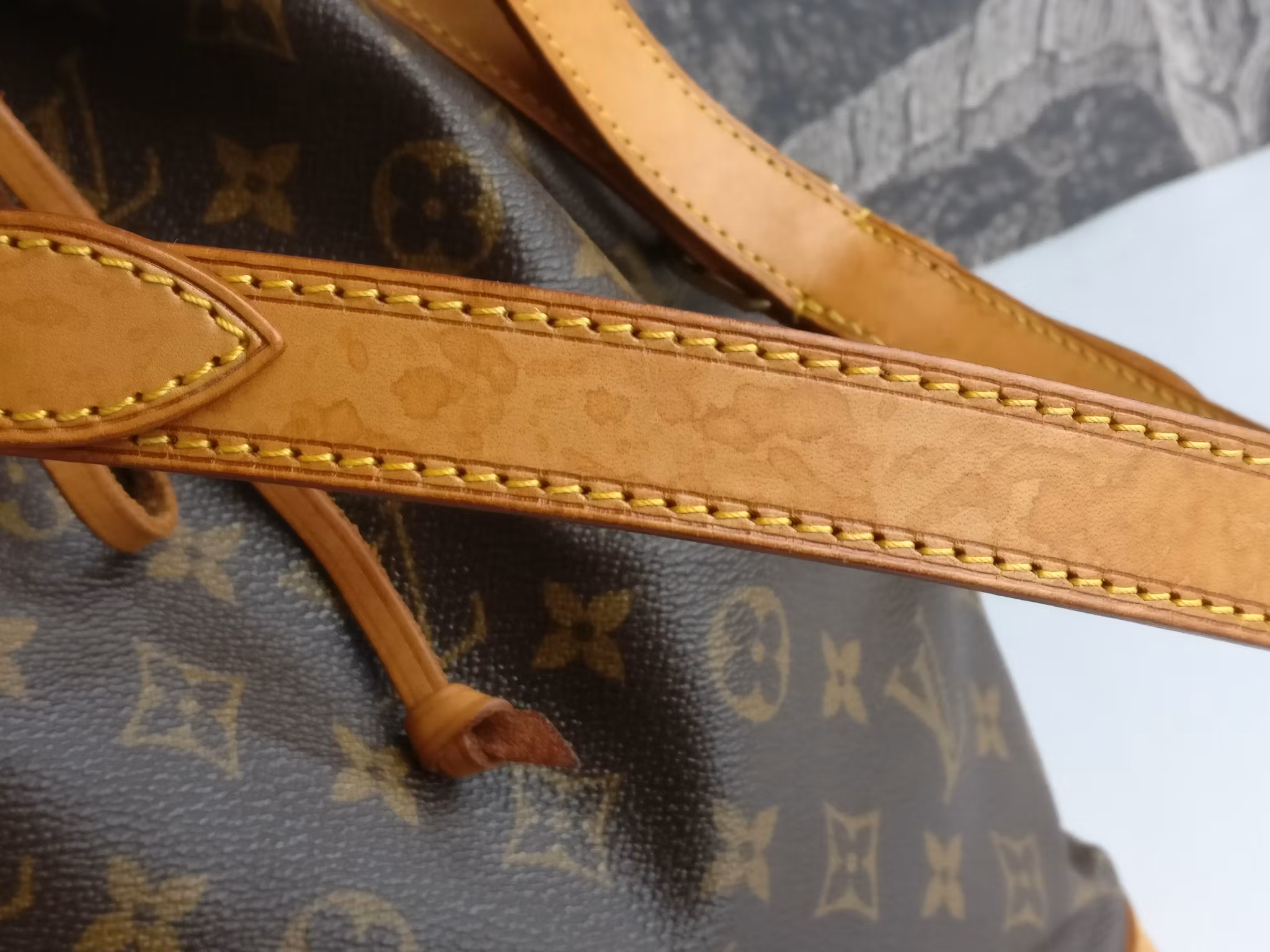 Louis Vuitton Noé GM