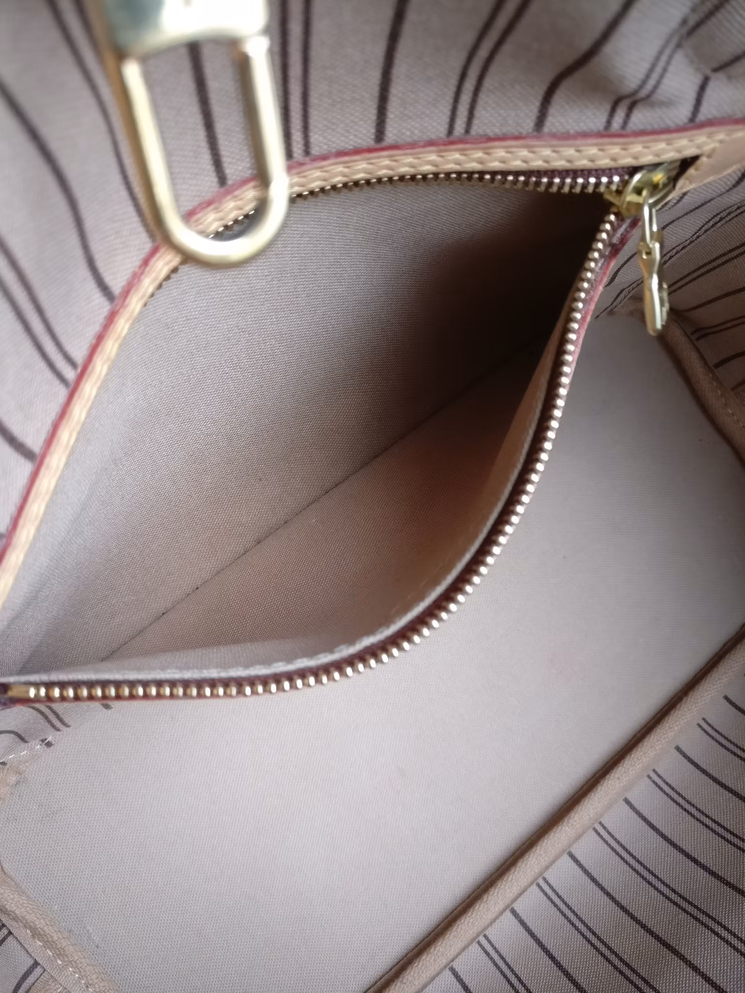 Louis Vuitton Neverfull PM