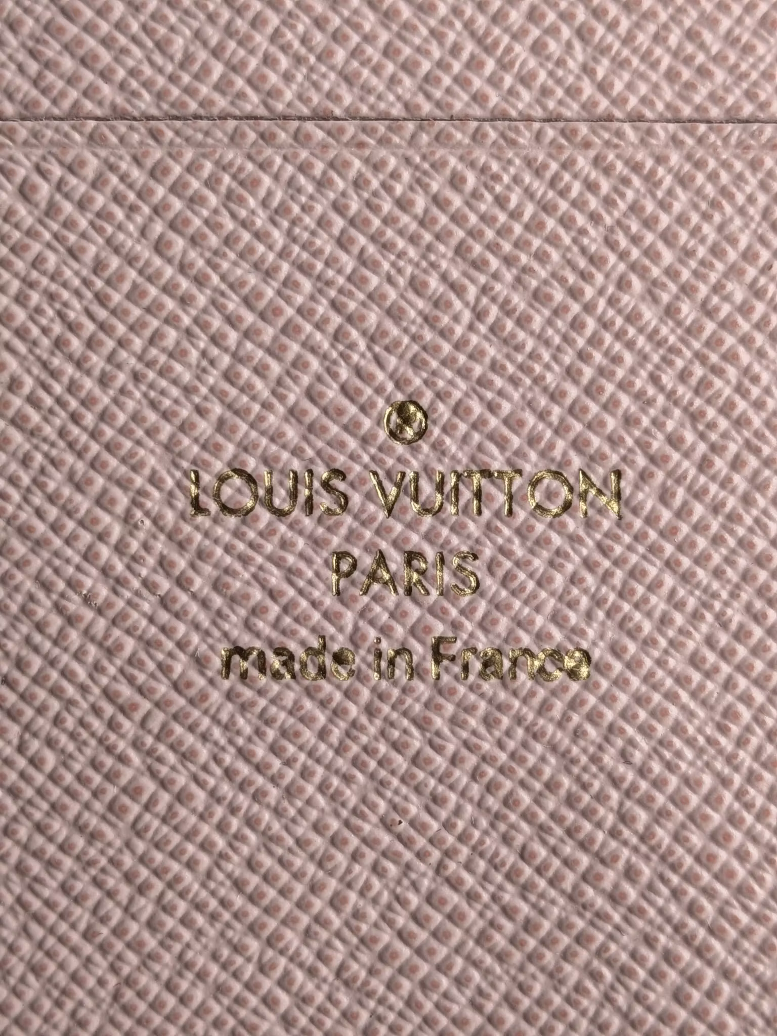 Louis Vuitton  Double Zip Pochette Illustre