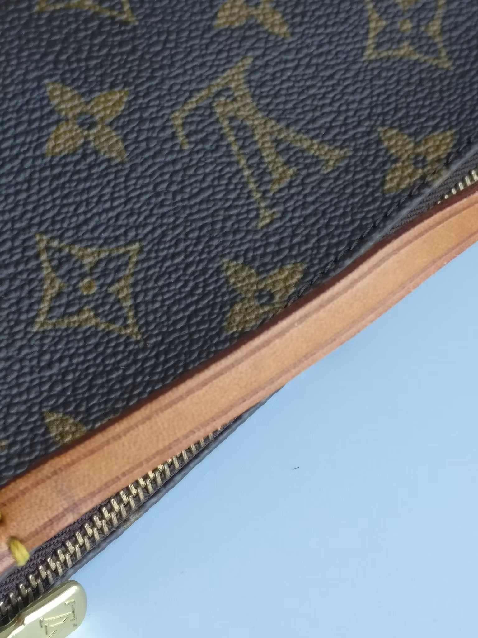 Louis Vuitton Pochette Accessoires