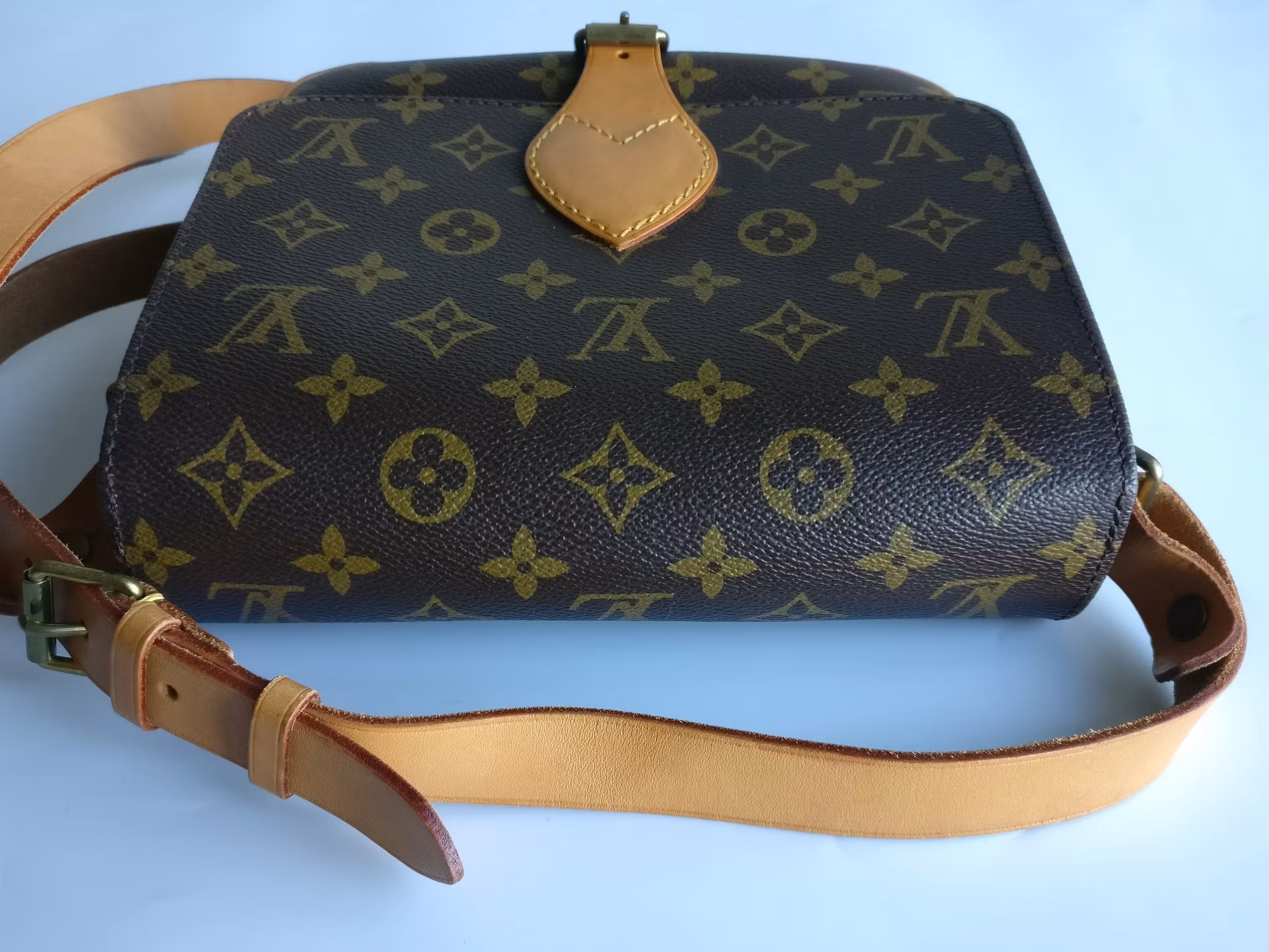 Louis Vuitton Cartouchiere MM